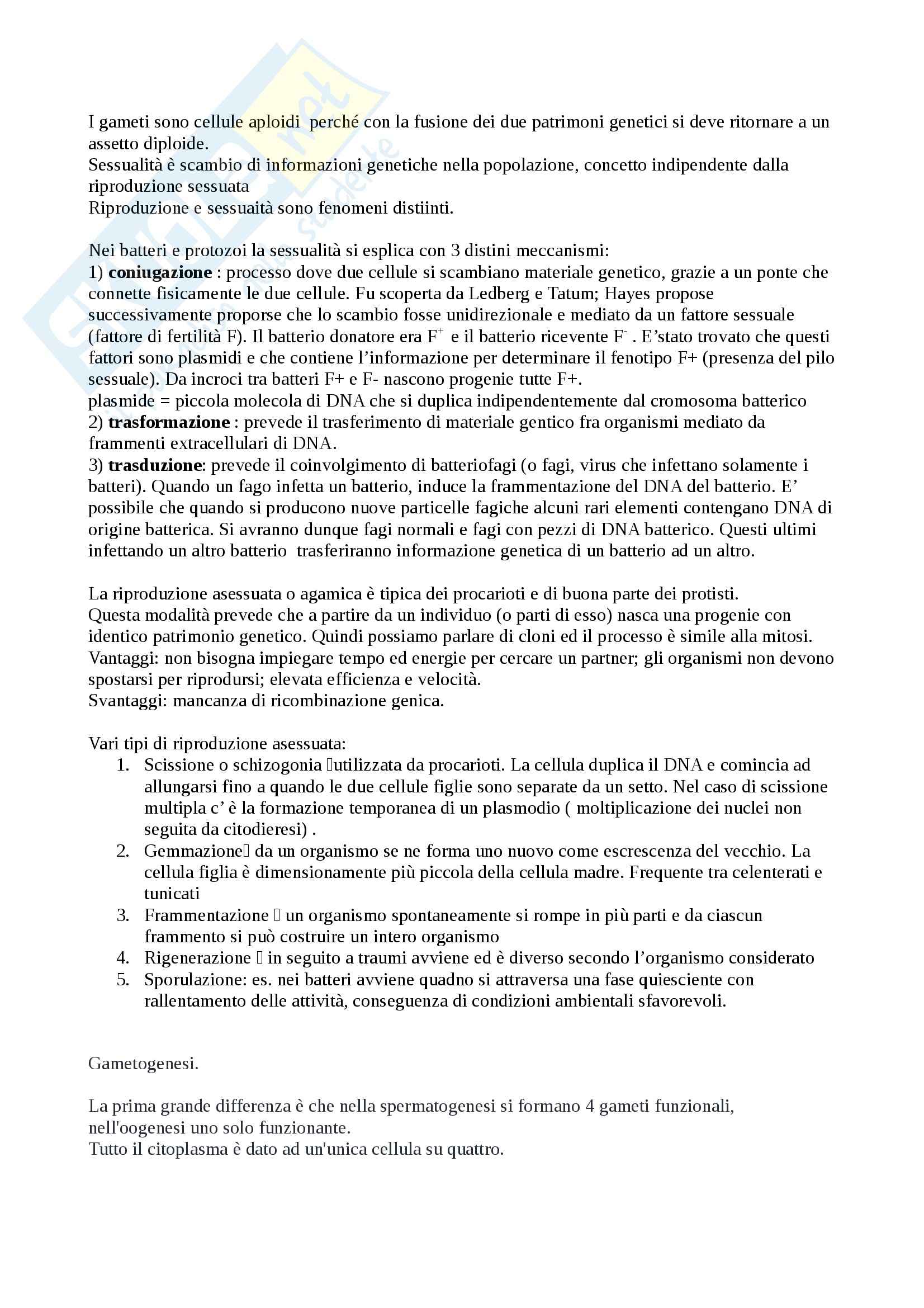 Riassunto esame biologia, prof Modesti, prof. Modesti, libro consigliato Il mondo della cellula di Becker Pag. 21