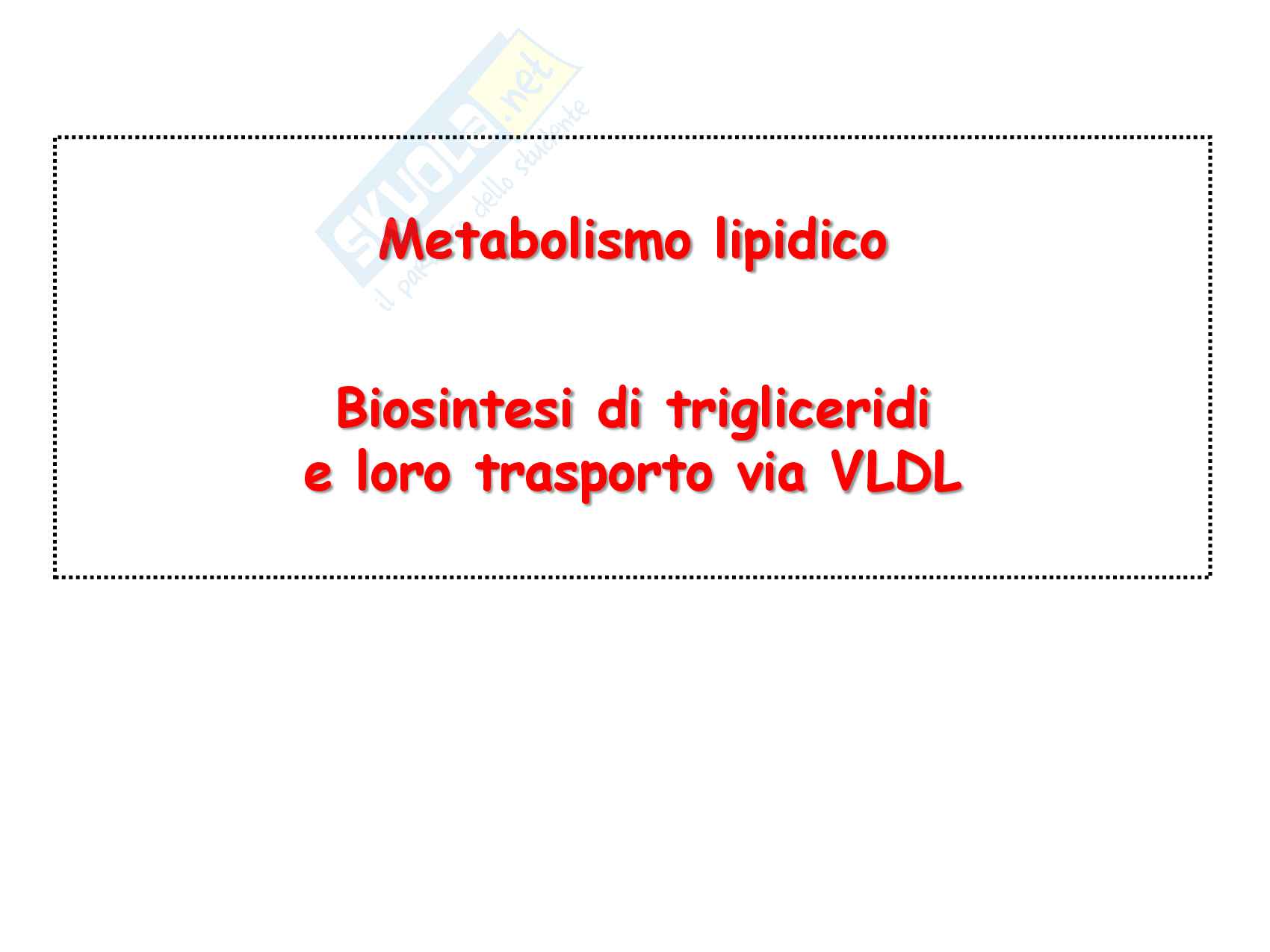 10 Biosintesi dei TG, trasporto via VLDL, deposito e mobilizzazione da tessuto adiposo Pag. 1