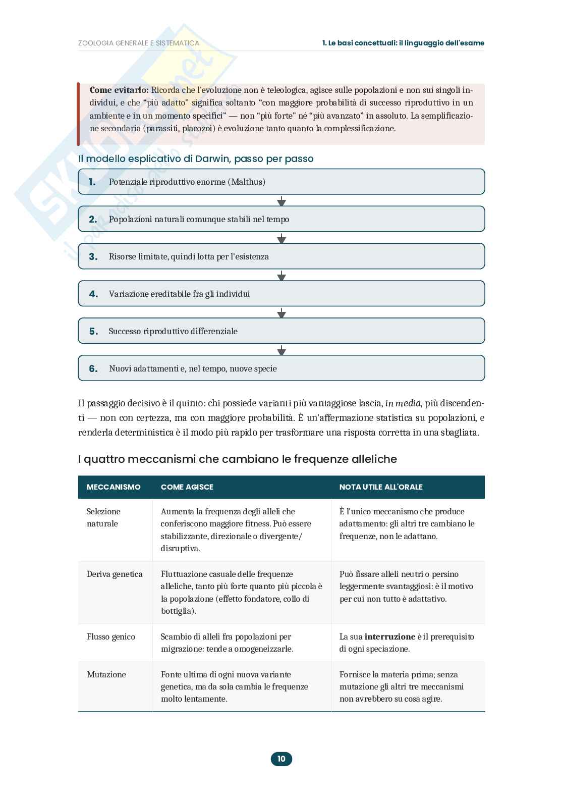 Appunti Zoologia generale e sistematica: guida completa all'esame  Pag. 11