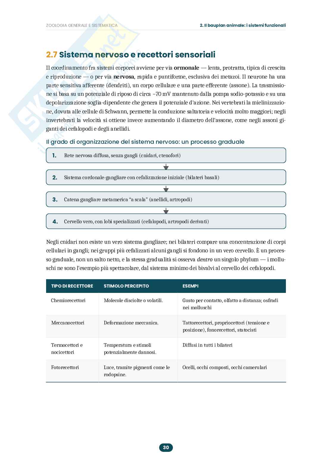Appunti Zoologia generale e sistematica: guida completa all'esame  Pag. 31