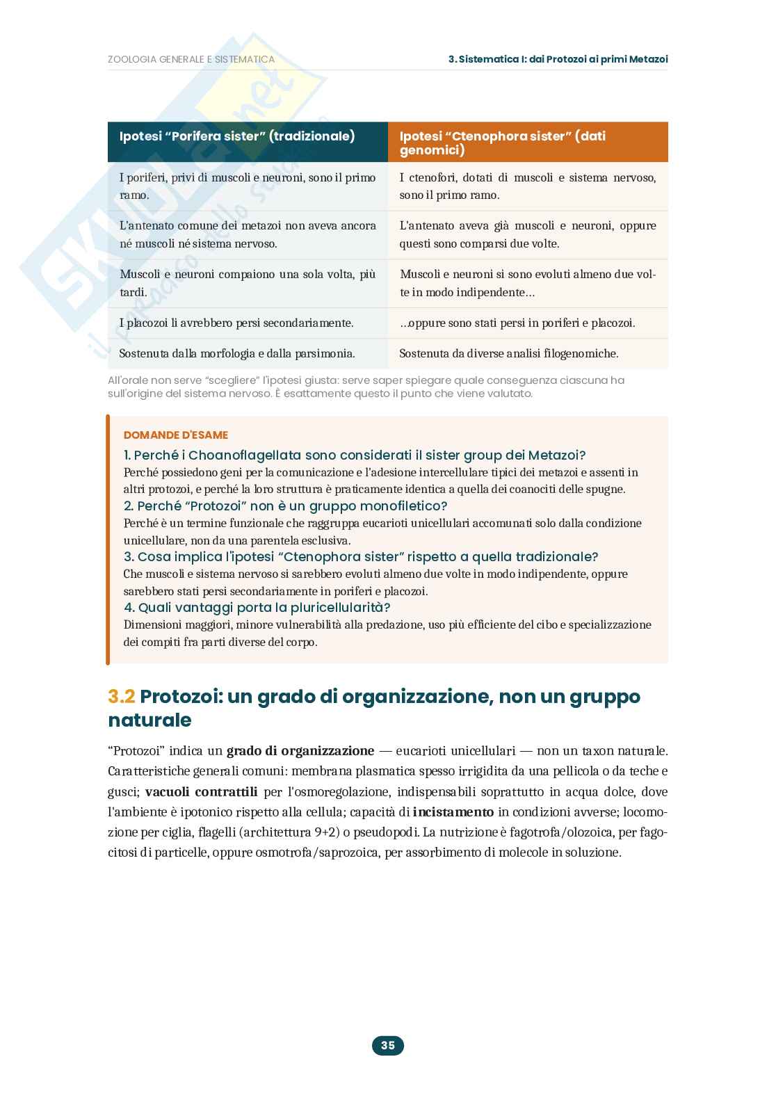 Appunti Zoologia generale e sistematica: guida completa all'esame  Pag. 36