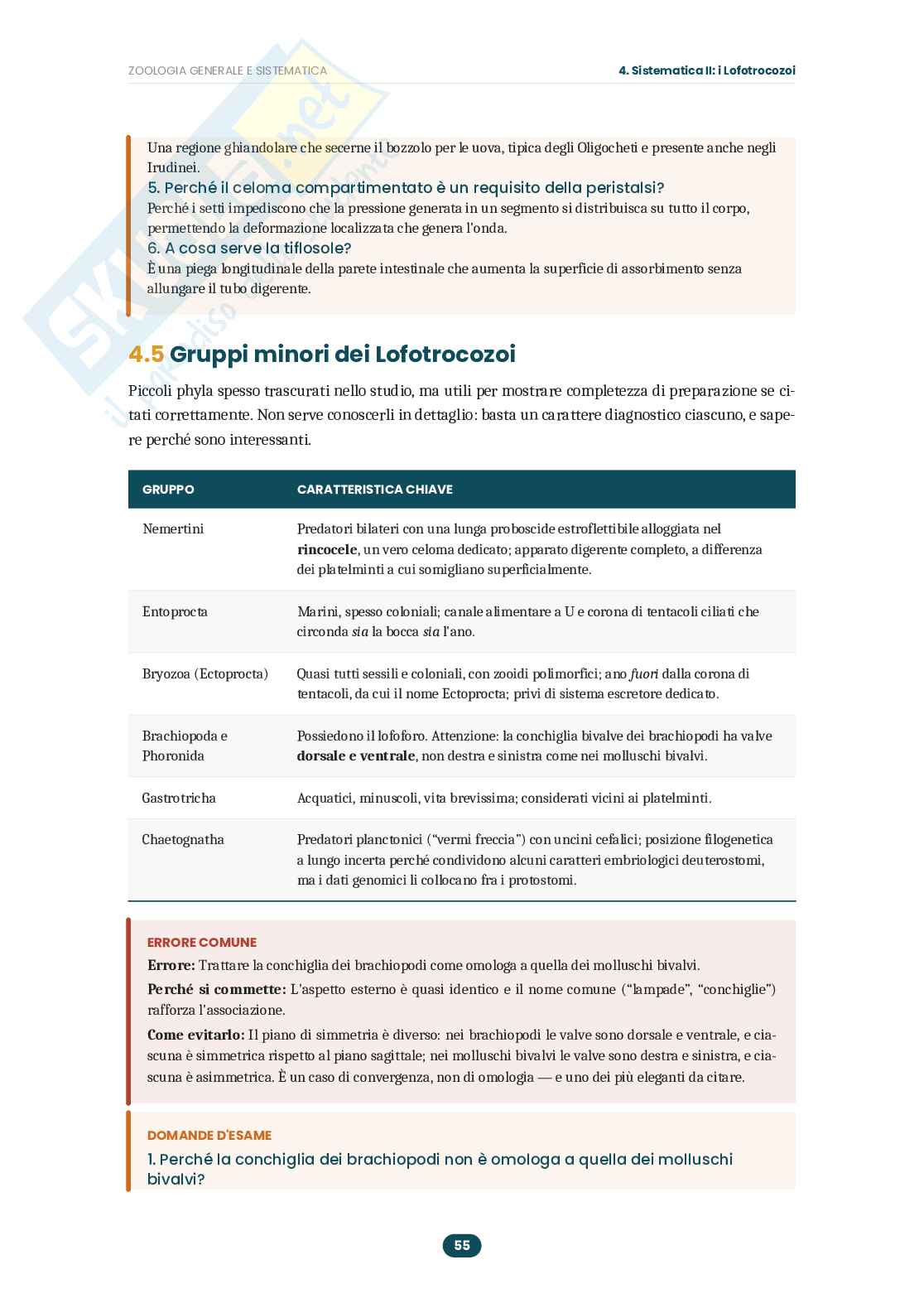 Appunti Zoologia generale e sistematica: guida completa all'esame  Pag. 56