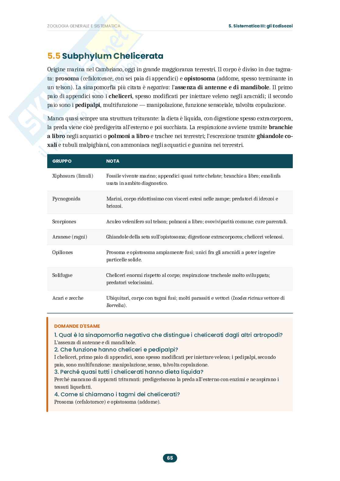 Appunti Zoologia generale e sistematica: guida completa all'esame  Pag. 66