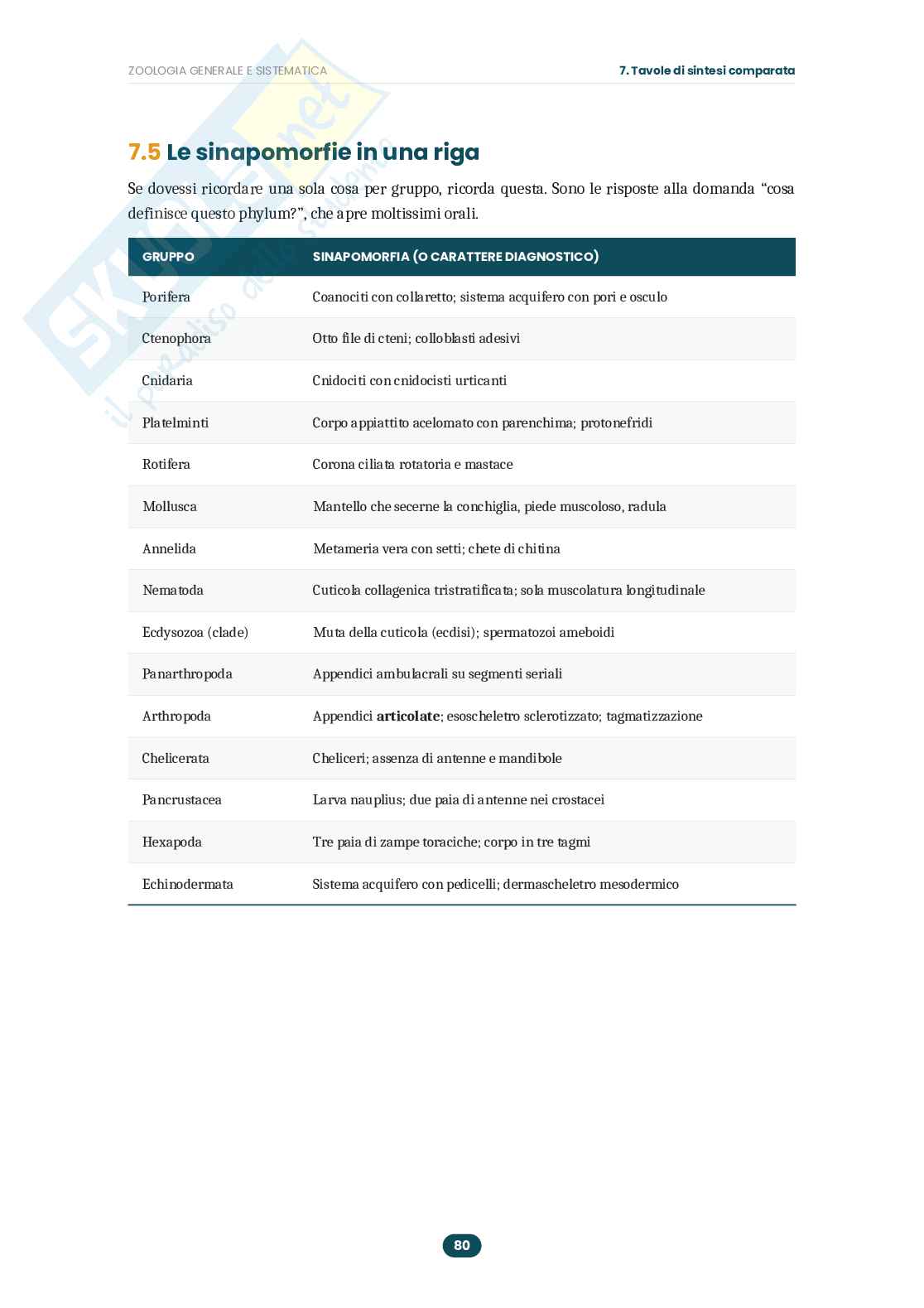 Appunti Zoologia generale e sistematica: guida completa all'esame  Pag. 81