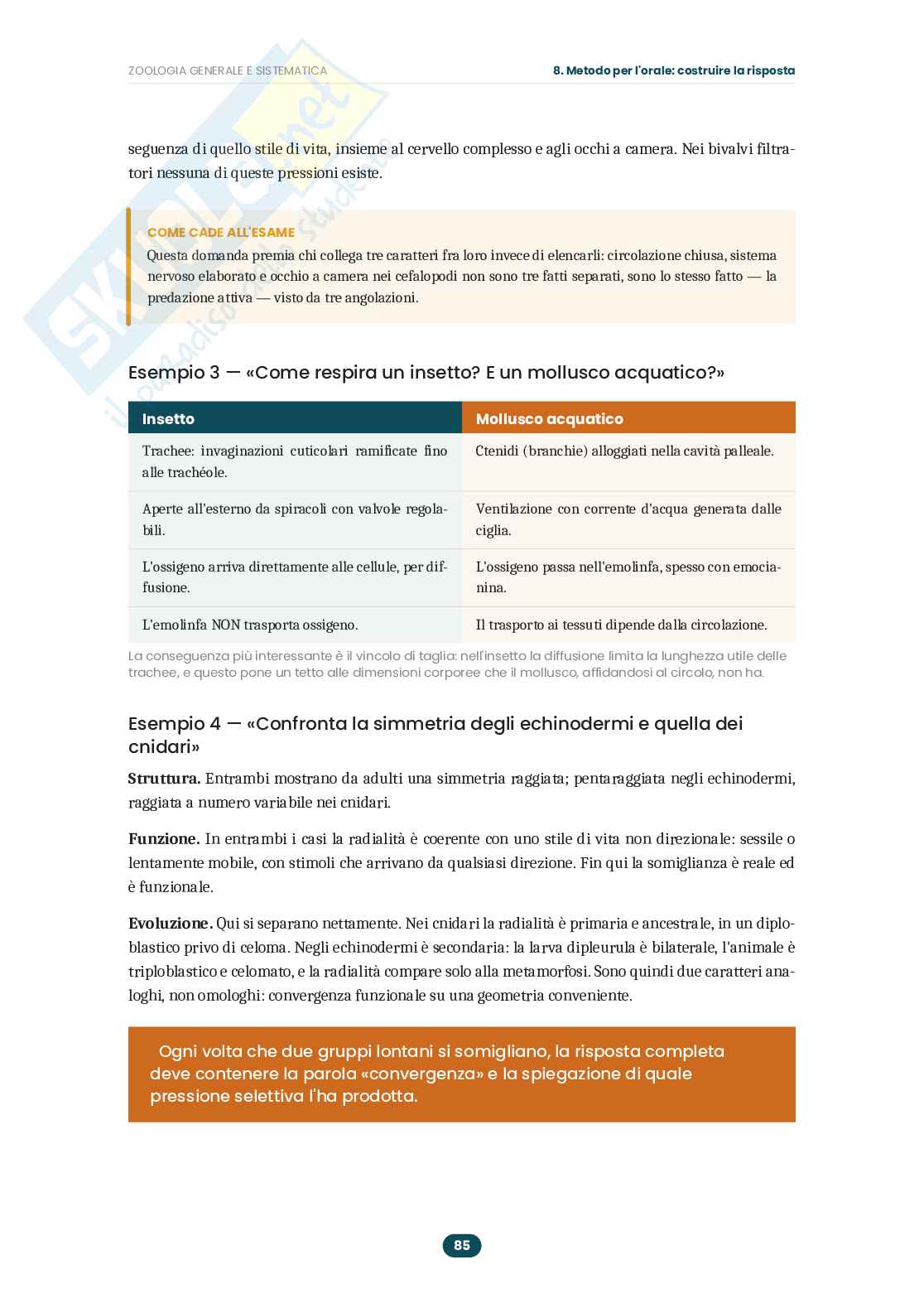 Appunti Zoologia generale e sistematica: guida completa all'esame  Pag. 86