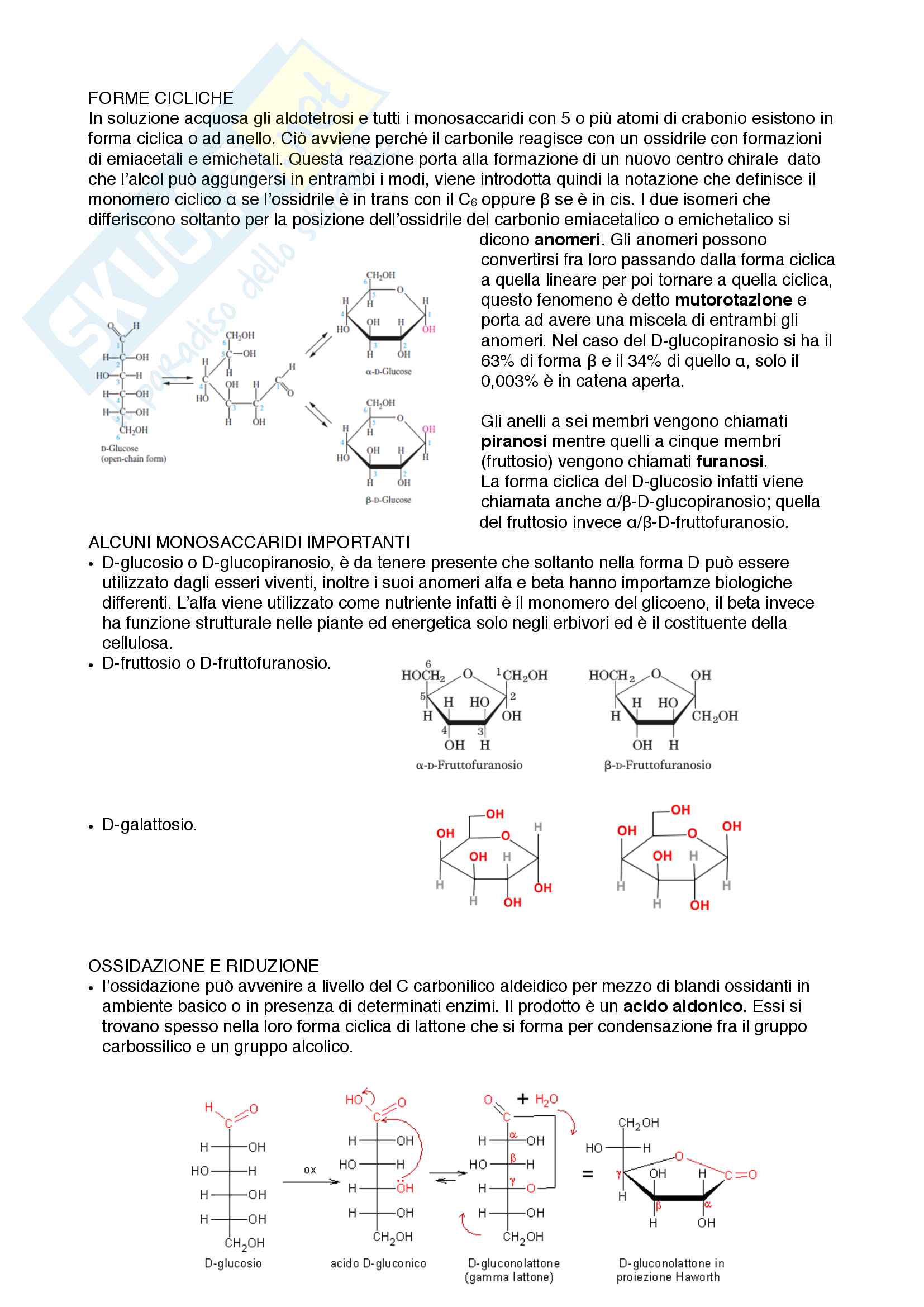 Chimica Esami In Comune Con Medicina