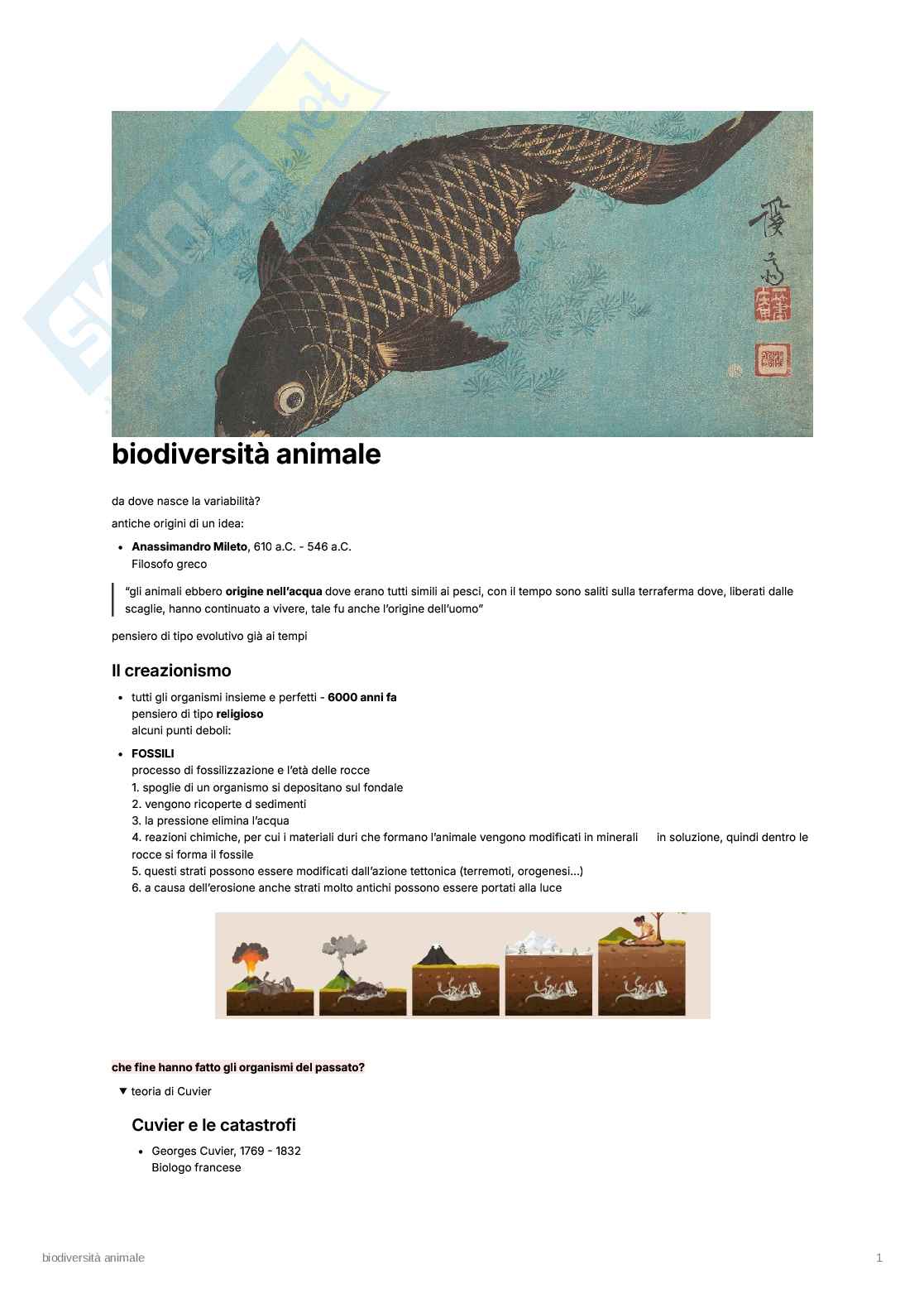 Biodiversità animale Pag. 1