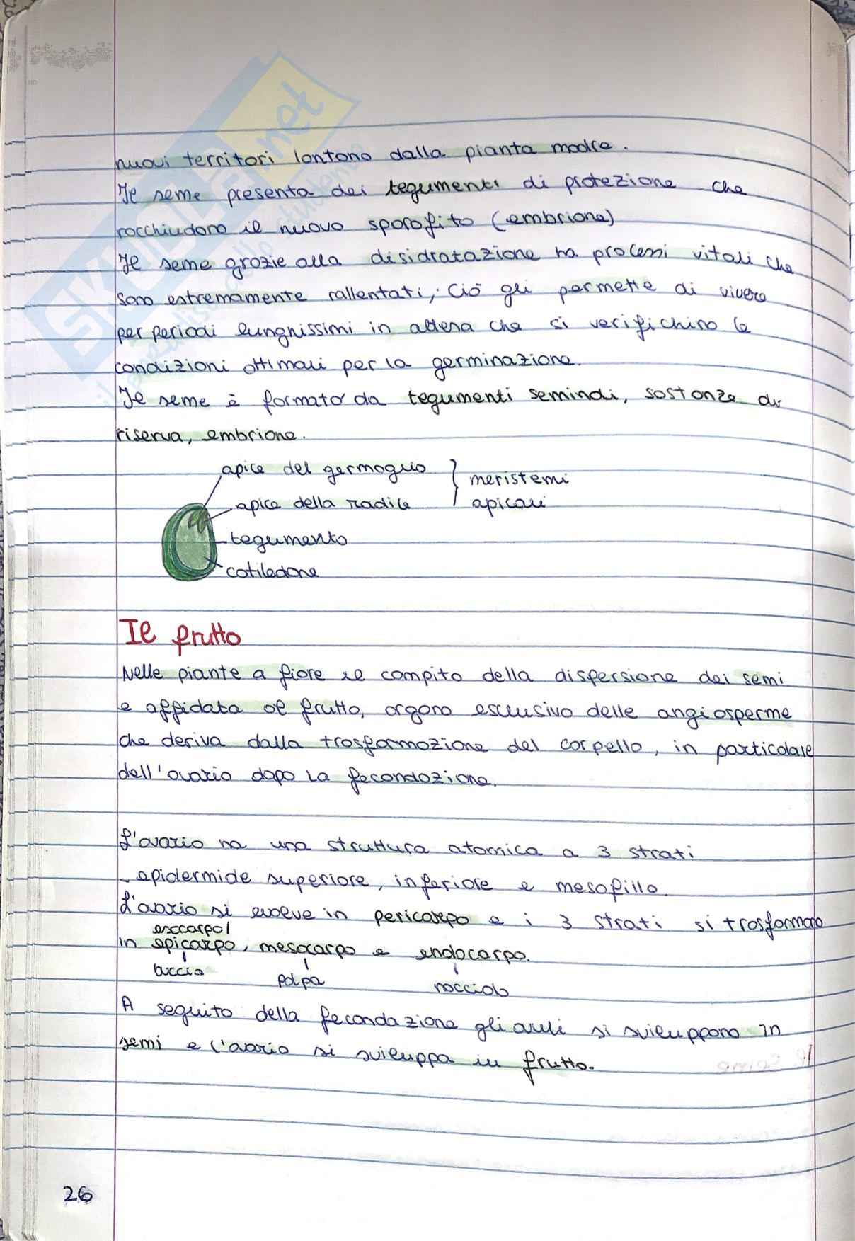 Produzioni vegetali - secondo parziale Pag. 26