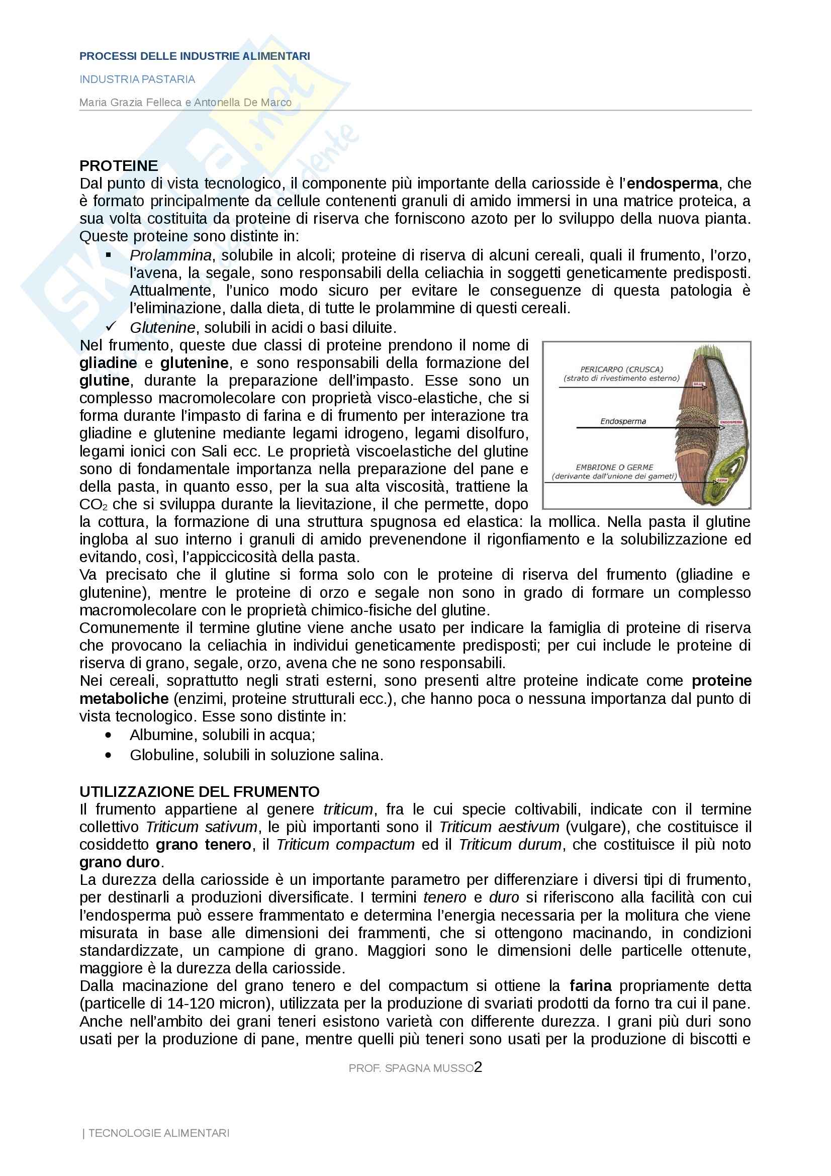 Processi delle industrie alimentari - industria pastaria Pag. 2