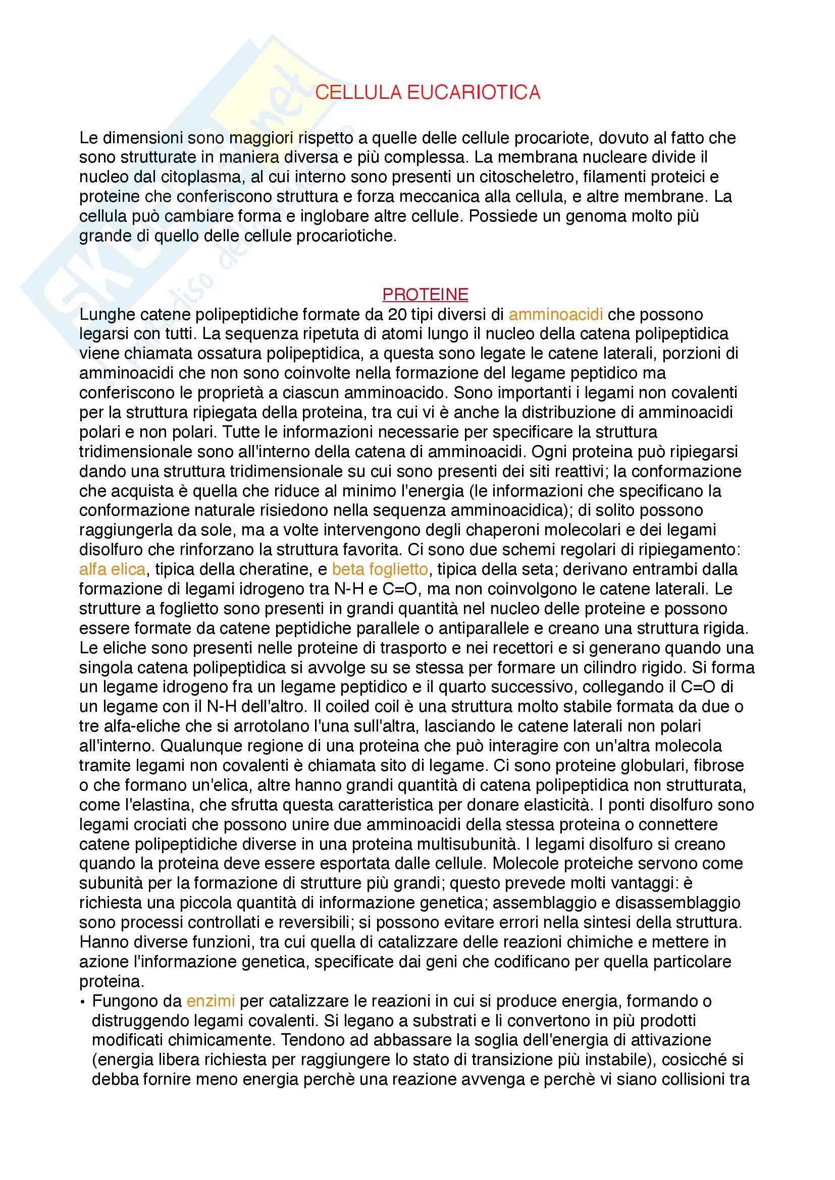Biologia cellulare - Appunti Pag. 1