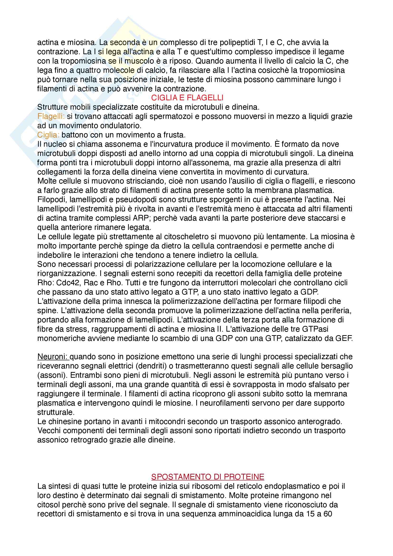 Biologia cellulare - Appunti Pag. 21