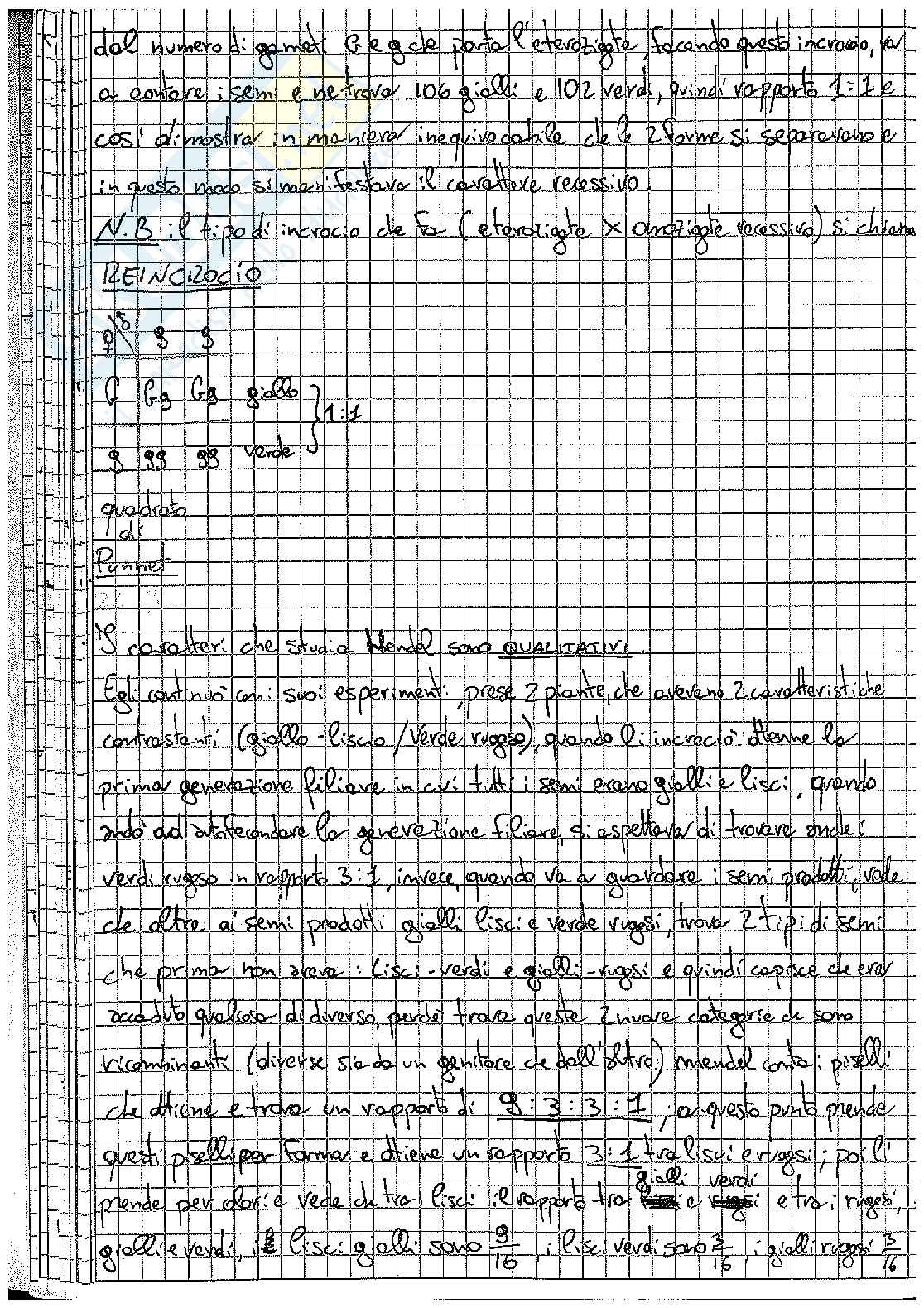 Riassunto esame Genetica agraria, Prof. Albertini Emidio, libro consigliato Genetica agraria  , Lorenzetti, Ceccarelli, Rosellini, Veronesi  Pag. 26