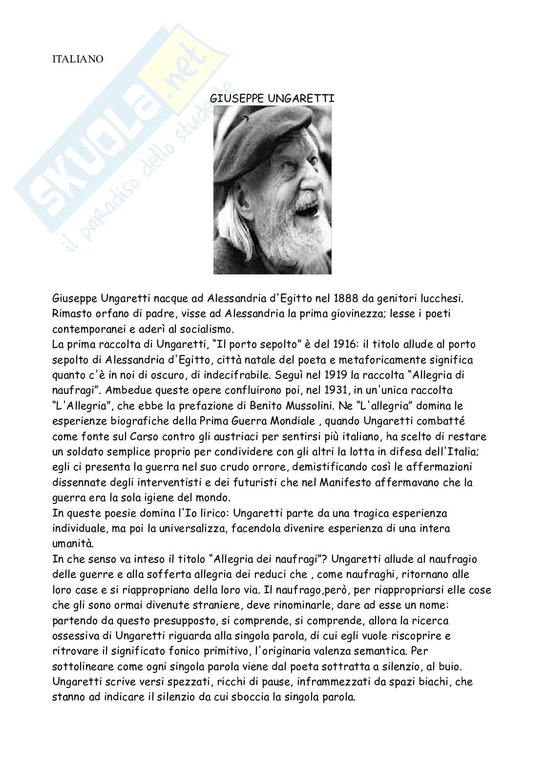 Tesina sull'Integrazione Pag. 21