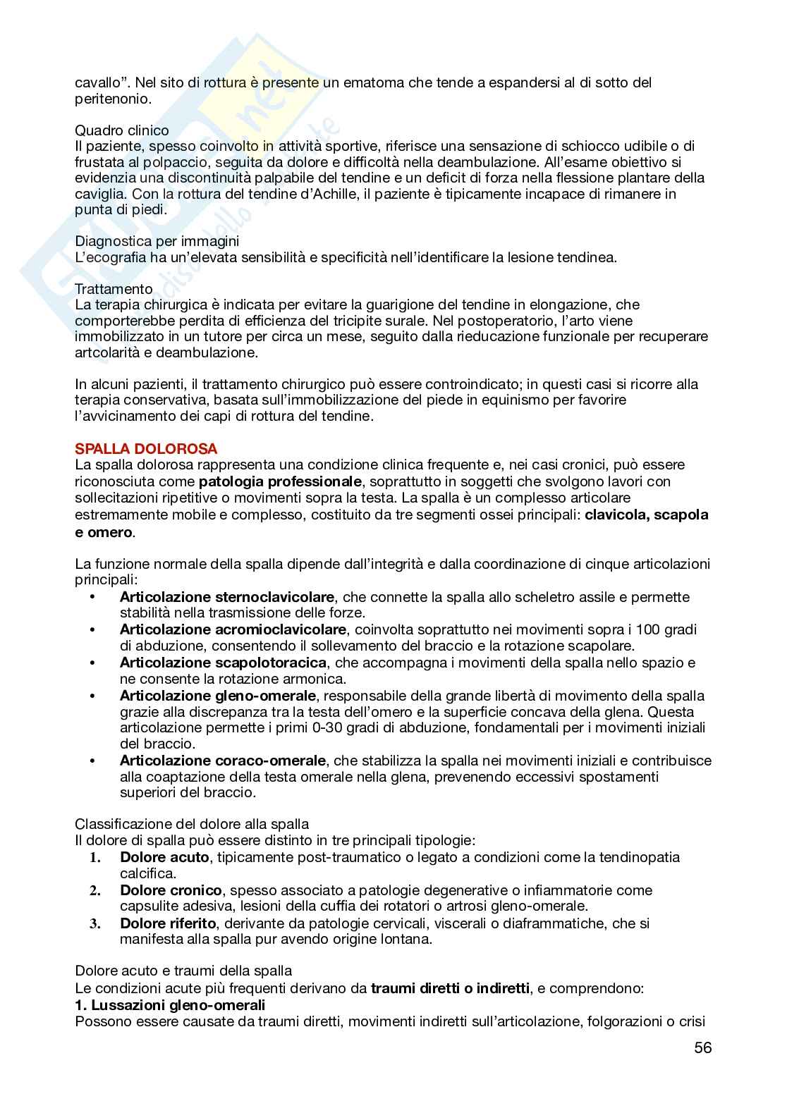 Ortopedia  Pag. 56