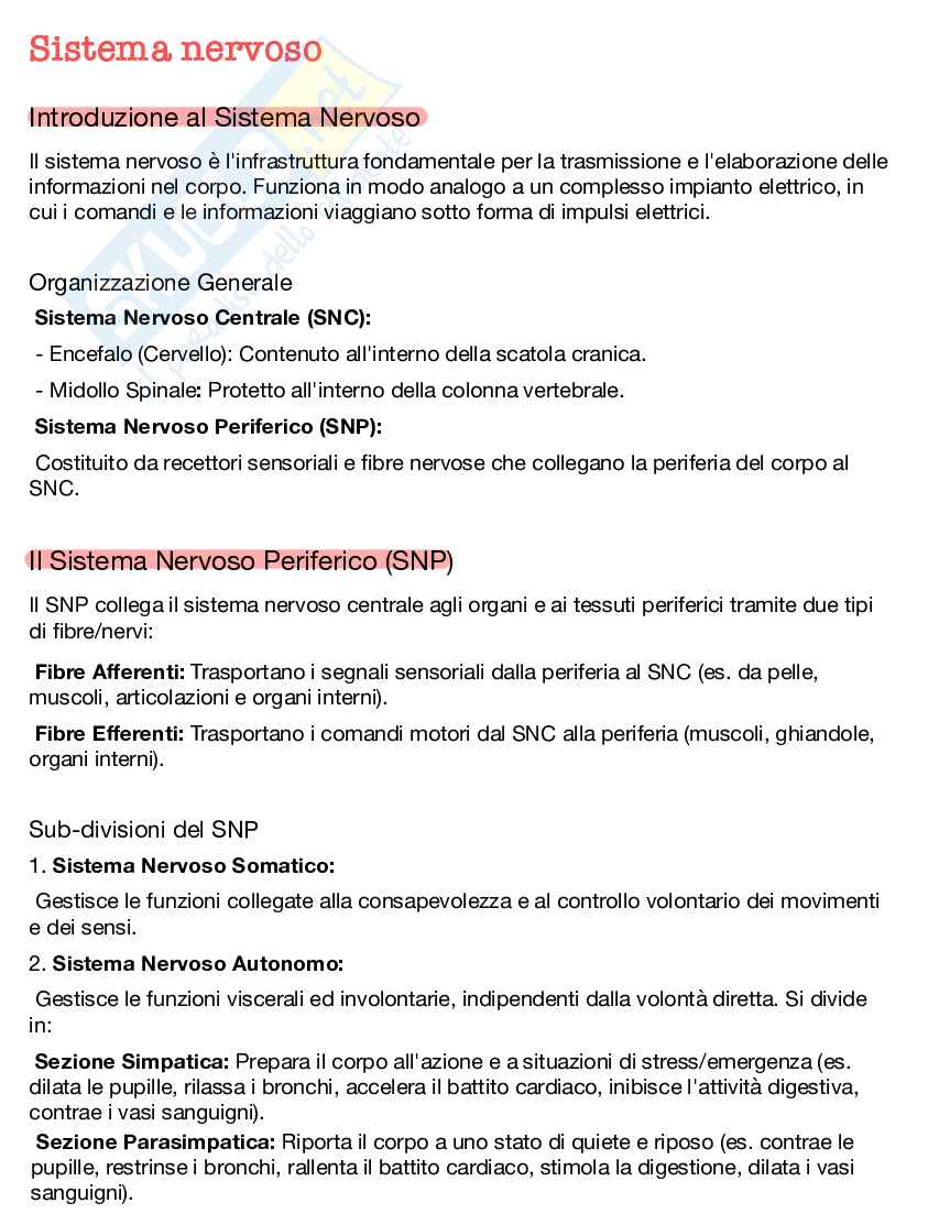 Appunti completi di Psicologia generale + Domande d'esame risolte Pag. 11