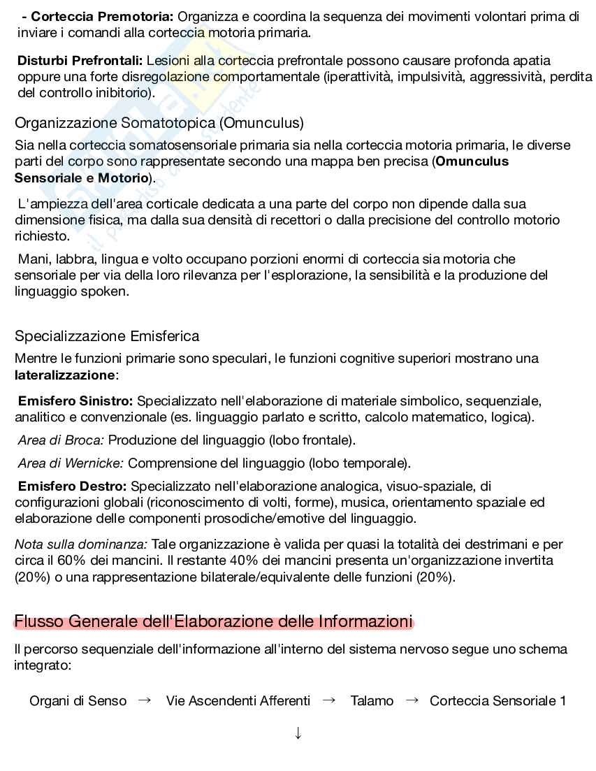 Appunti completi di Psicologia generale + Domande d'esame risolte Pag. 16
