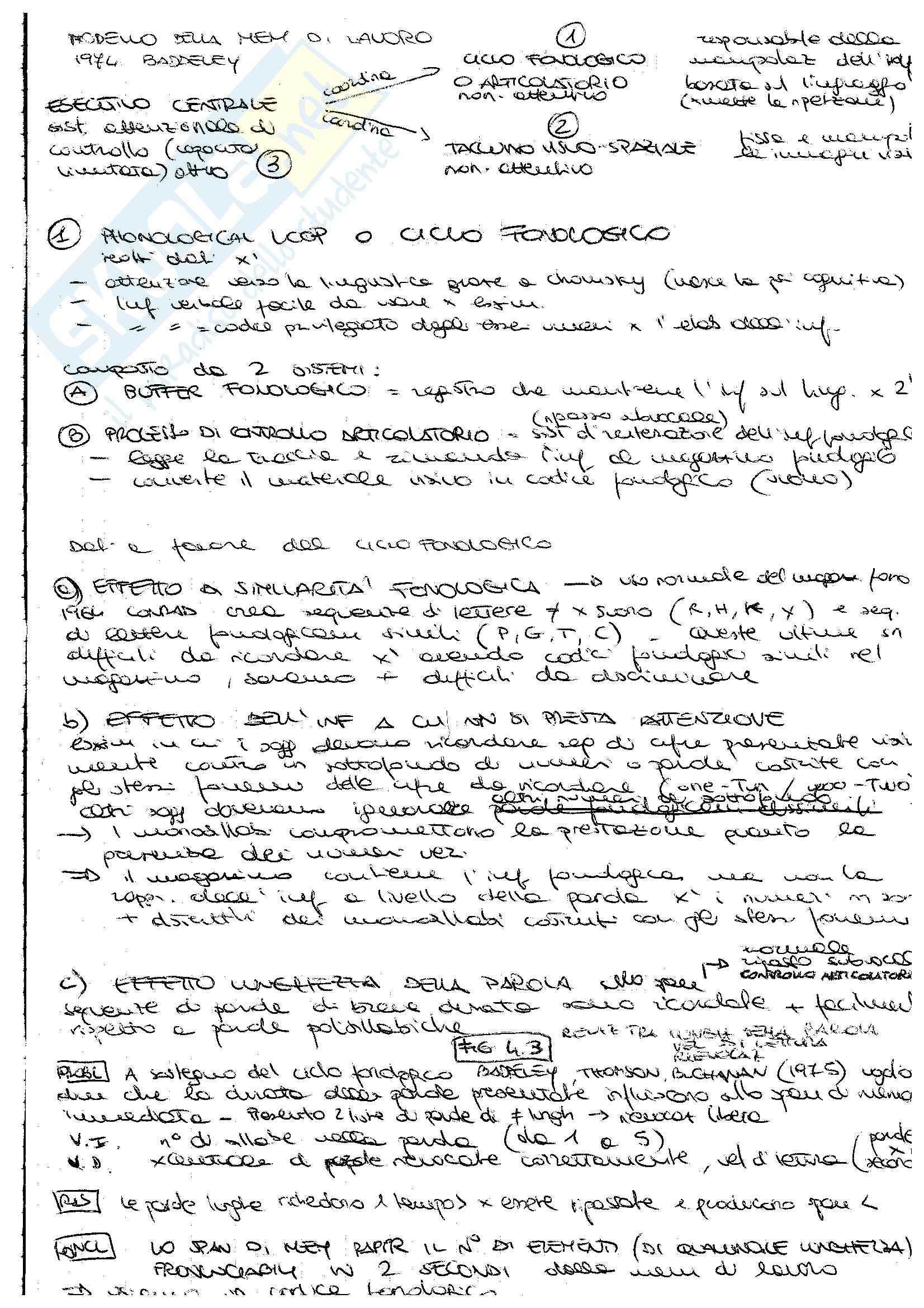 Psicologia dell'apprendimento e della memoria - Memoria di lavoro Pag. 2