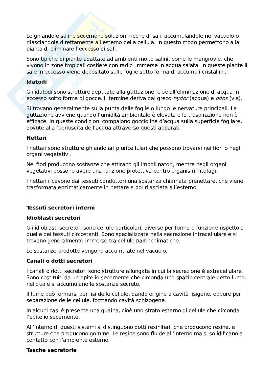 Appunti Botanica Pag. 11