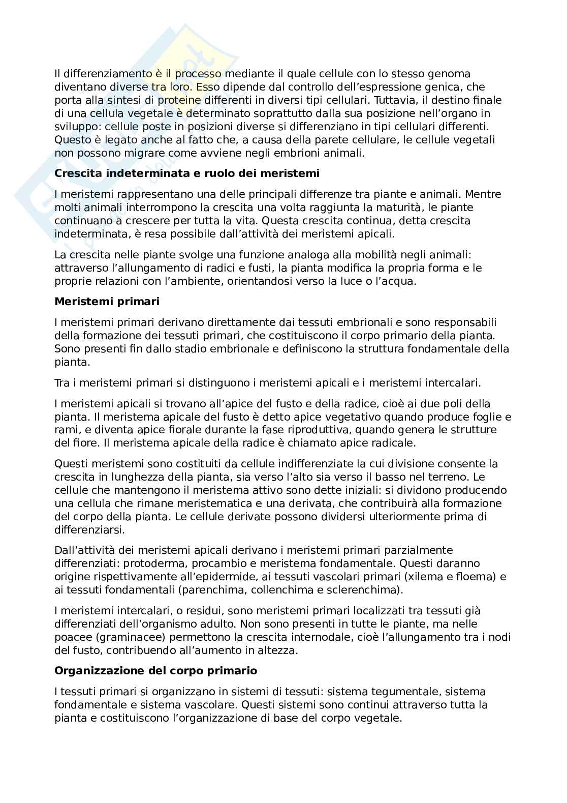 Appunti Botanica Pag. 2
