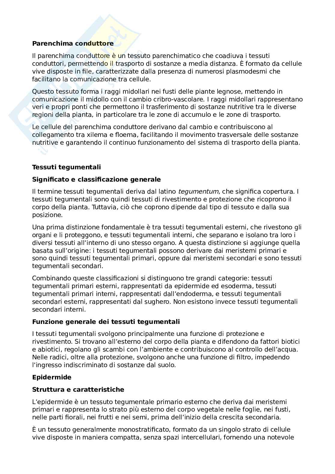 Appunti Botanica Pag. 6