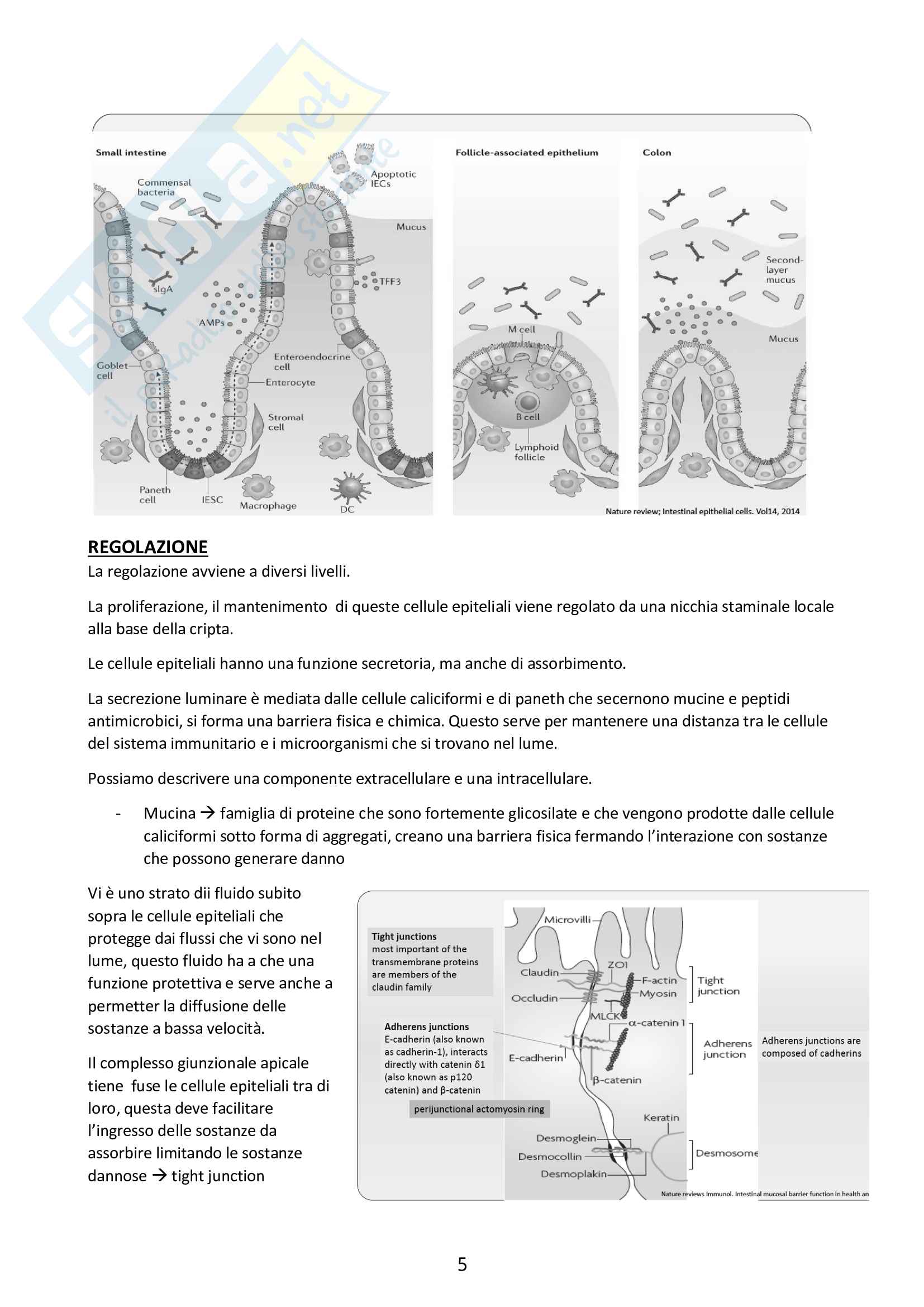 Medicina molecolare Pag. 6