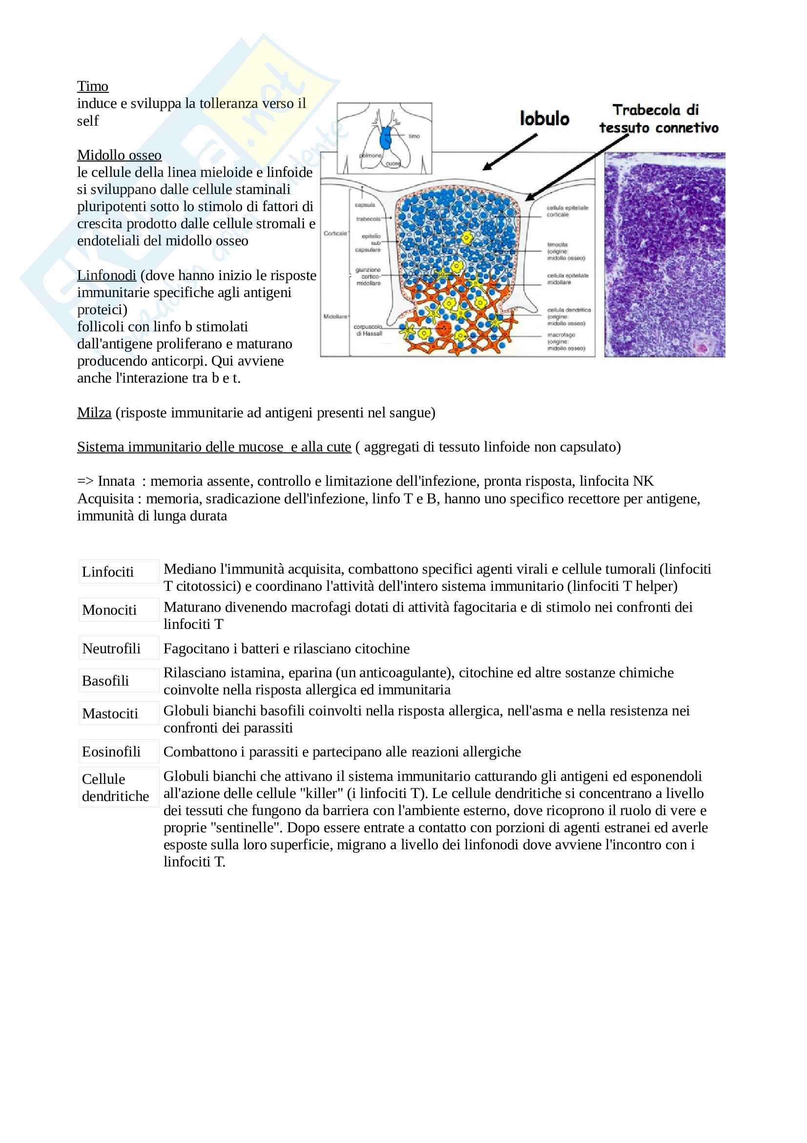 Immunologia Pag. 2