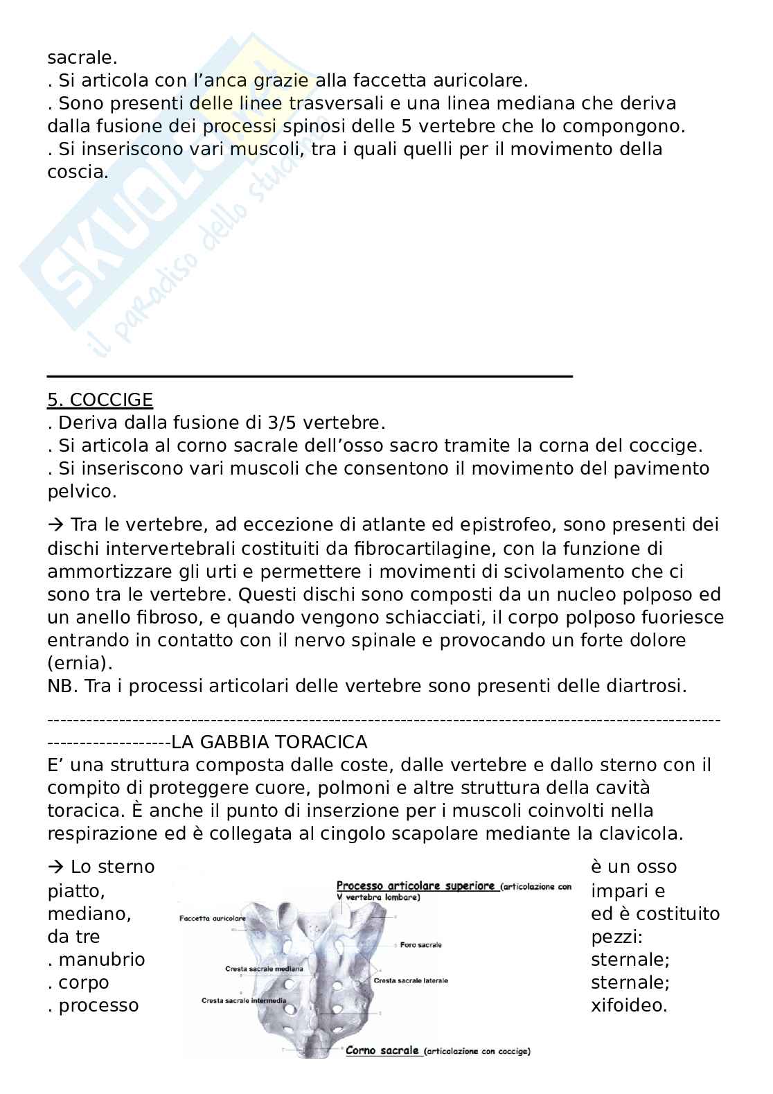 Anatomia generale Pag. 21