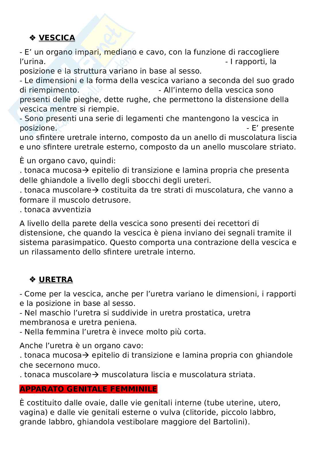Anatomia generale Pag. 56