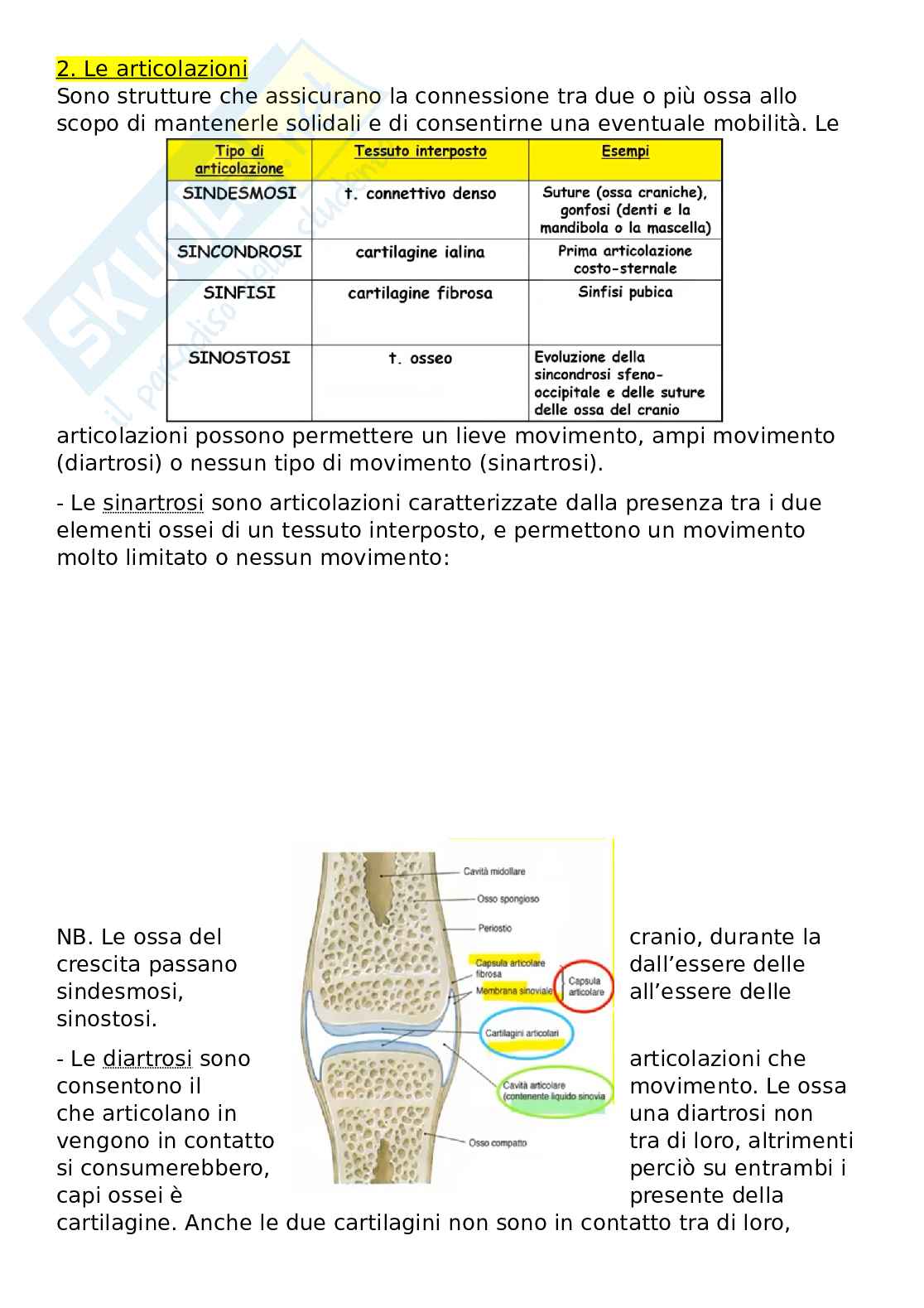 Anatomia generale Pag. 6