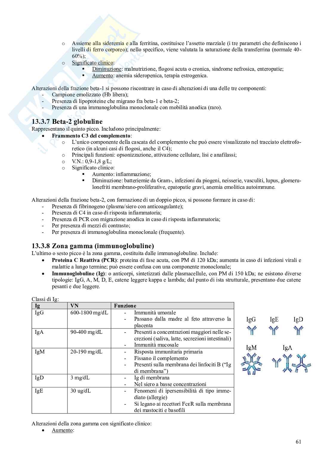 Appunti di Medicina di laboratorio Pag. 61