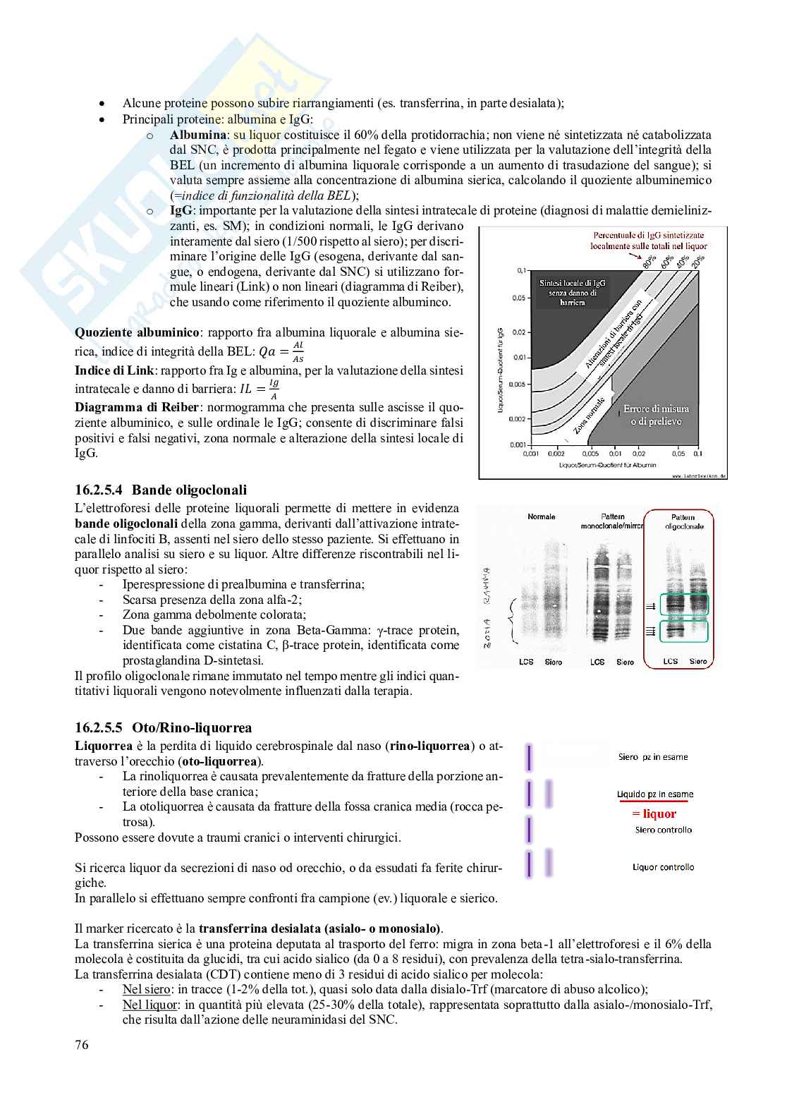 Appunti di Medicina di laboratorio Pag. 76