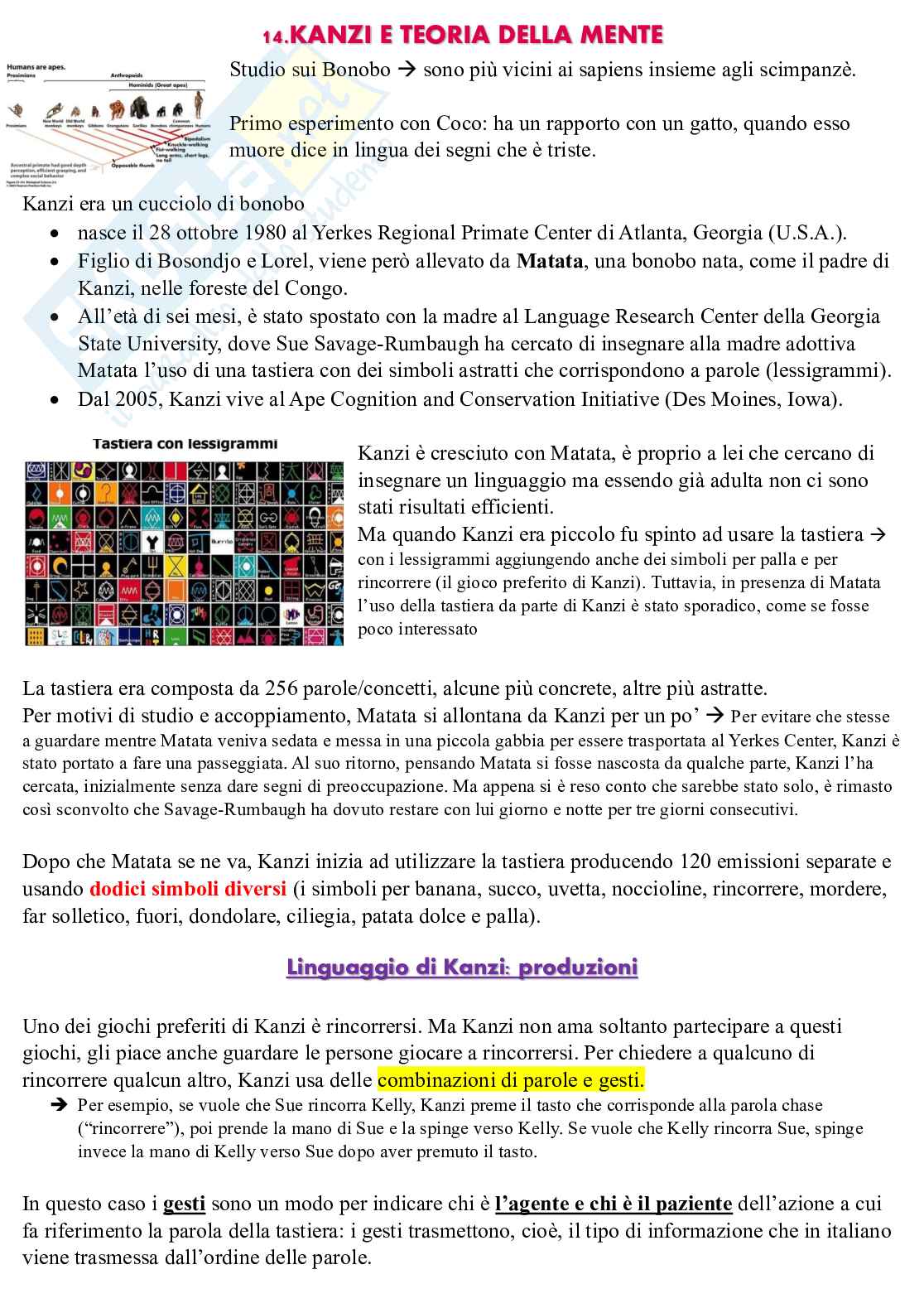 Appunti completi per esame Filosofia della mente Pag. 66