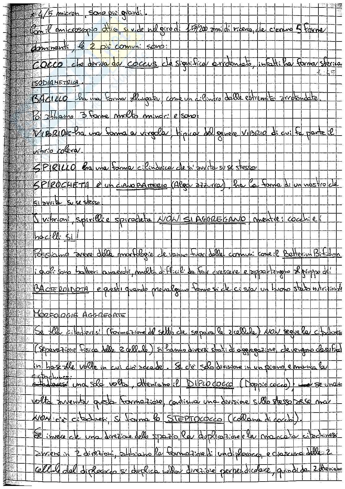 Appunti di Microbiologia agraria Pag. 21