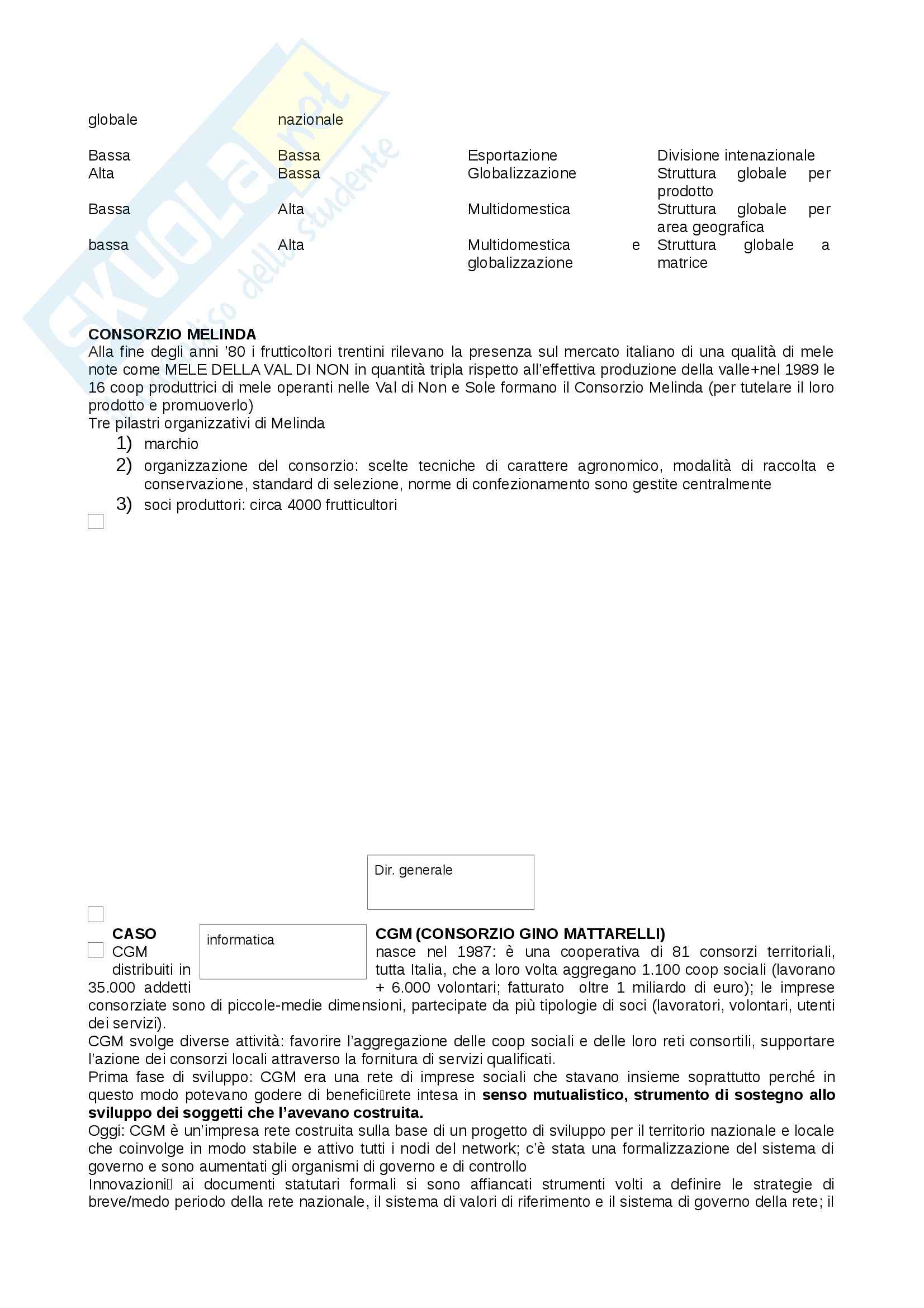Organizzazione aziendale e dei servizi - analisi casi aziendali Pag. 21