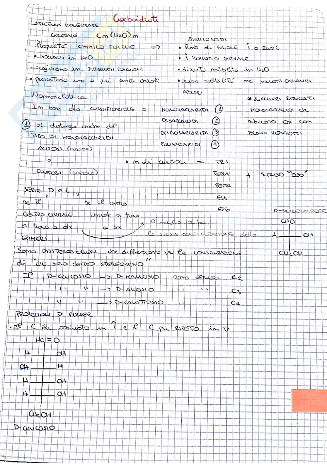 Schemi E Reazioni Riassuntivi Carboidrati