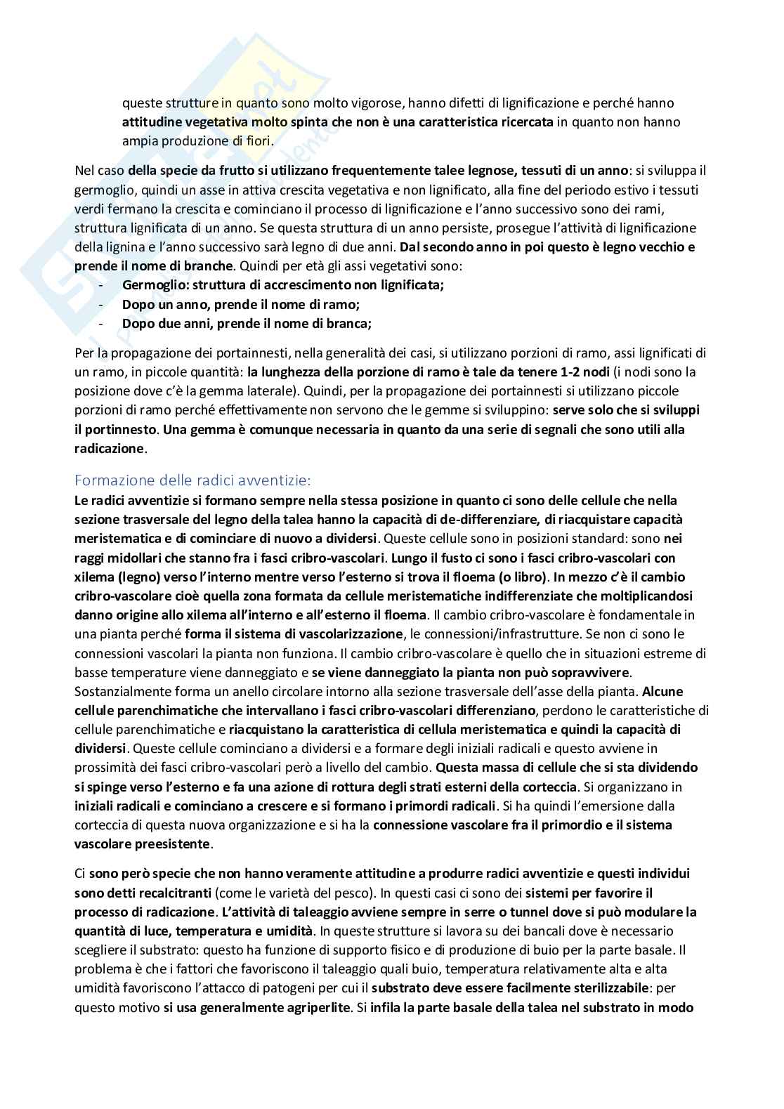 Coltivazioni arboree Pag. 11