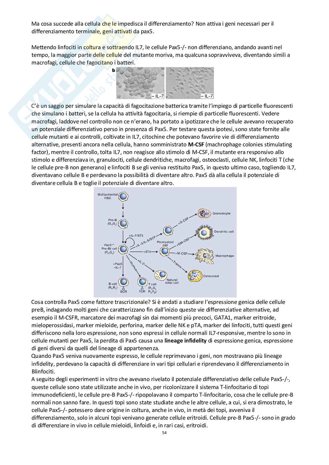 Esercizi Genetica Con Soluzioni Terza Media