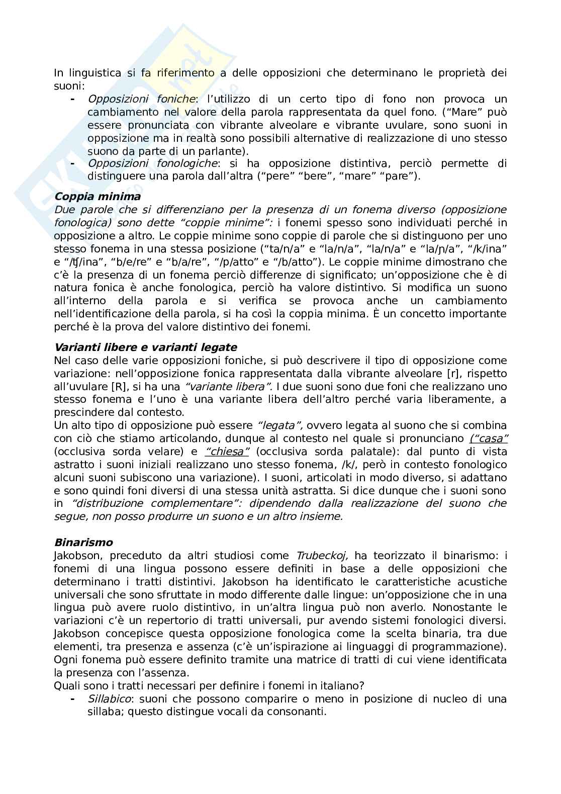 Linguistica descrittiva e storica Pag. 6