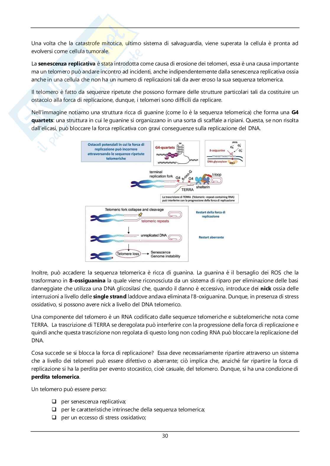 Argomenti sommari genetica Pag. 31