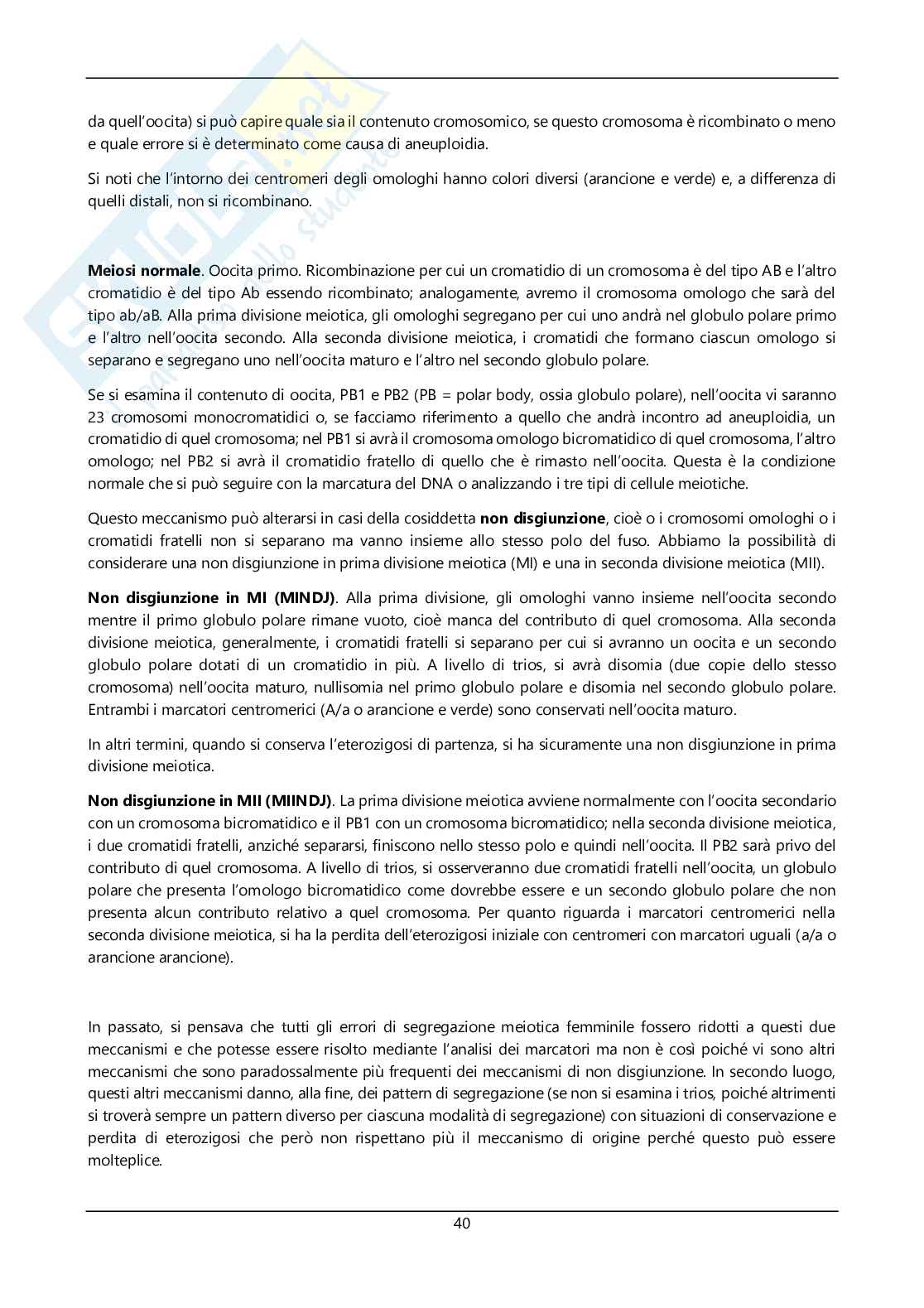 Argomenti sommari genetica Pag. 41