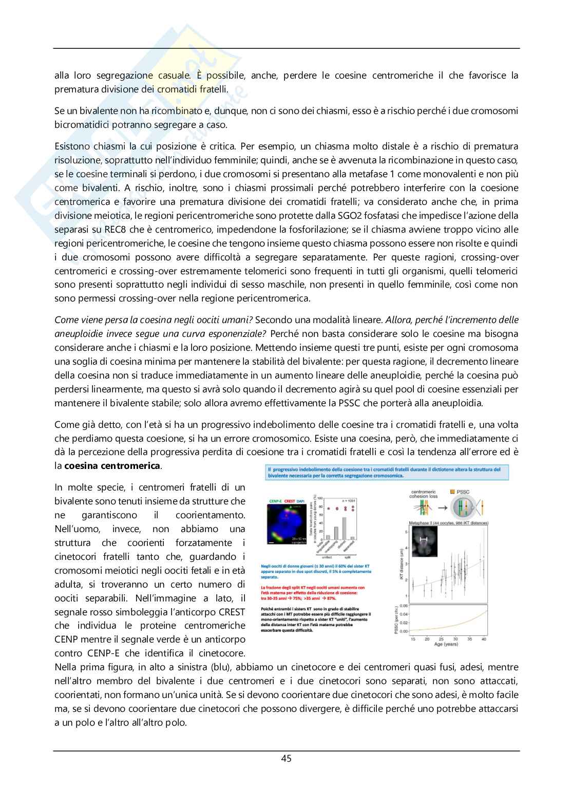 Argomenti sommari genetica Pag. 46