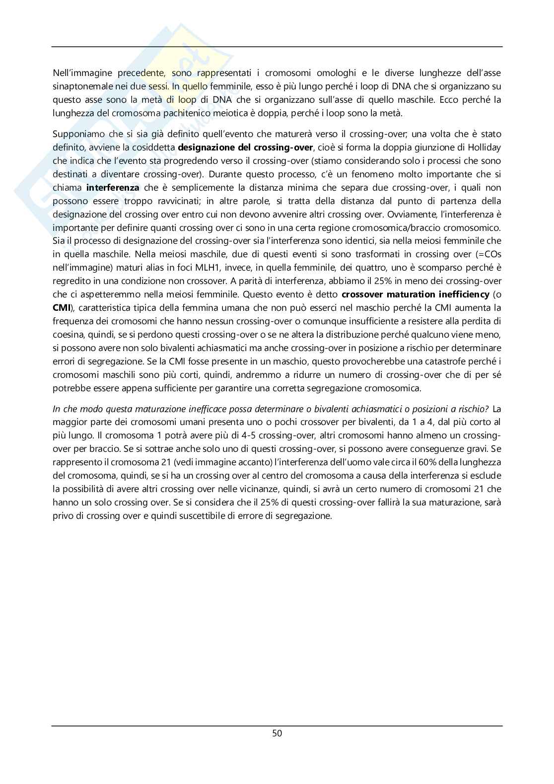 Argomenti sommari genetica Pag. 51