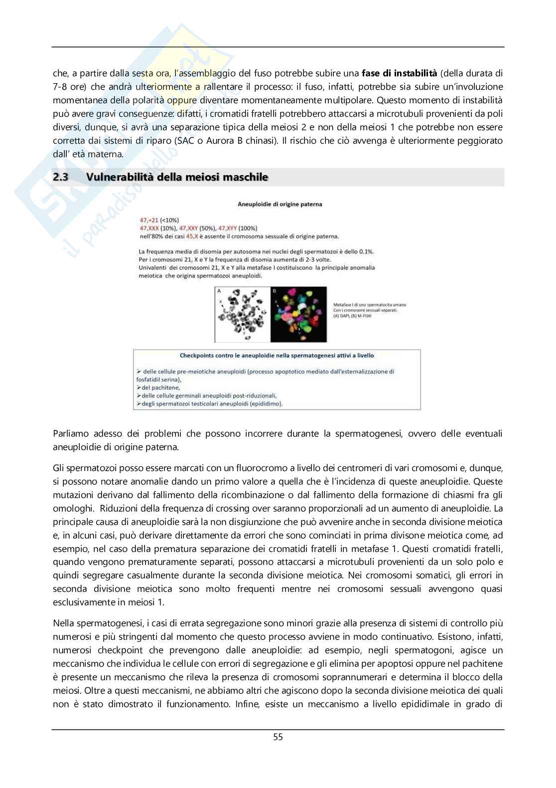 Argomenti sommari genetica Pag. 56