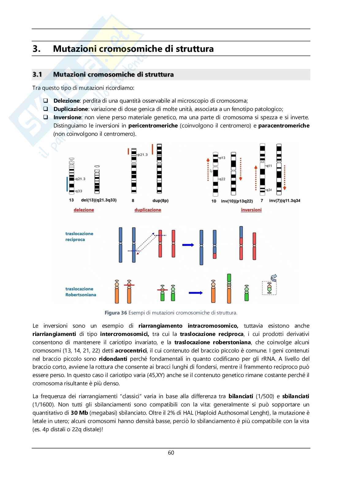 Argomenti sommari genetica Pag. 61
