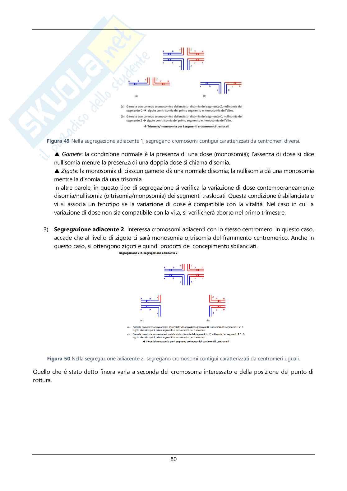Argomenti sommari genetica Pag. 81