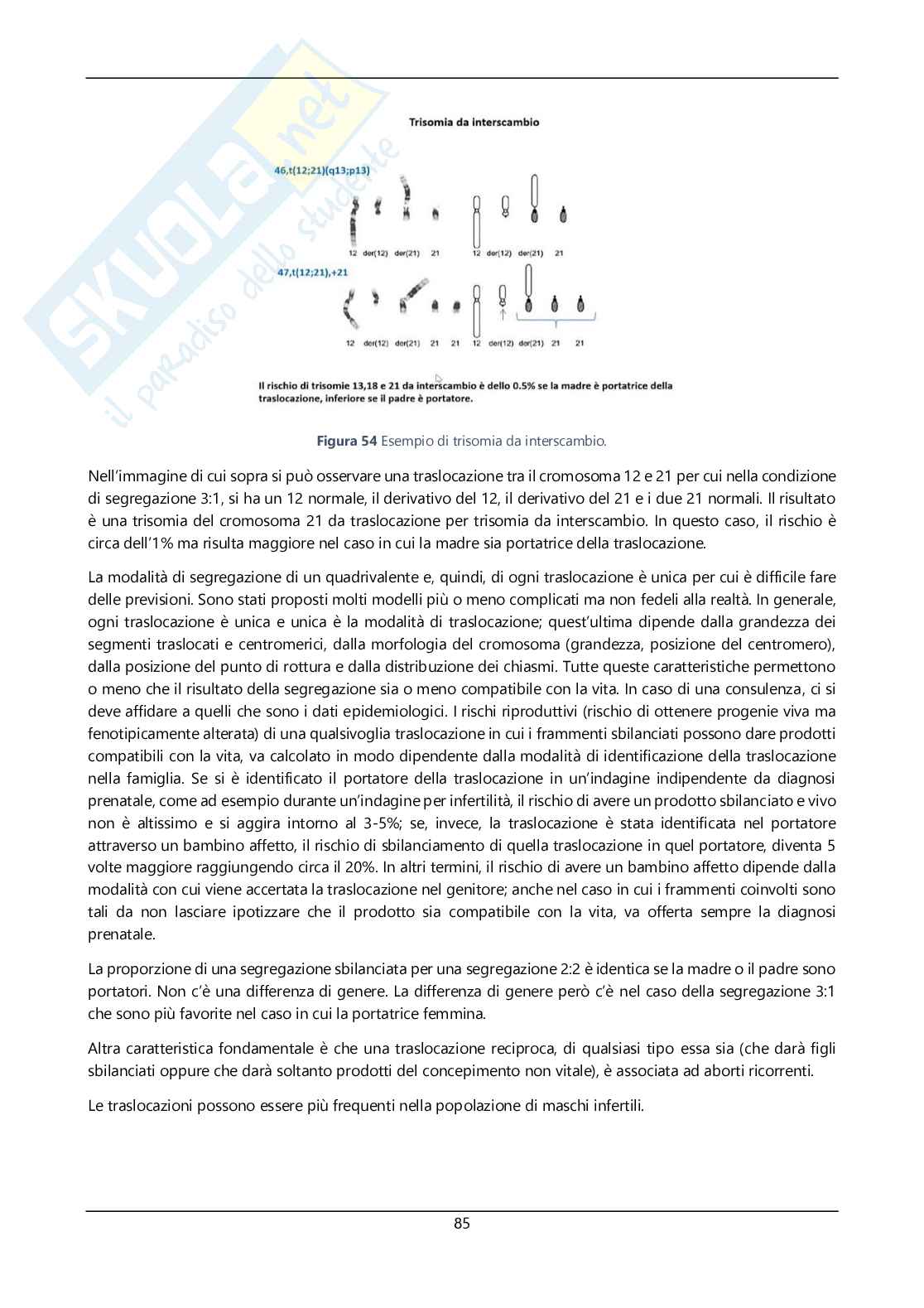 Argomenti sommari genetica Pag. 86