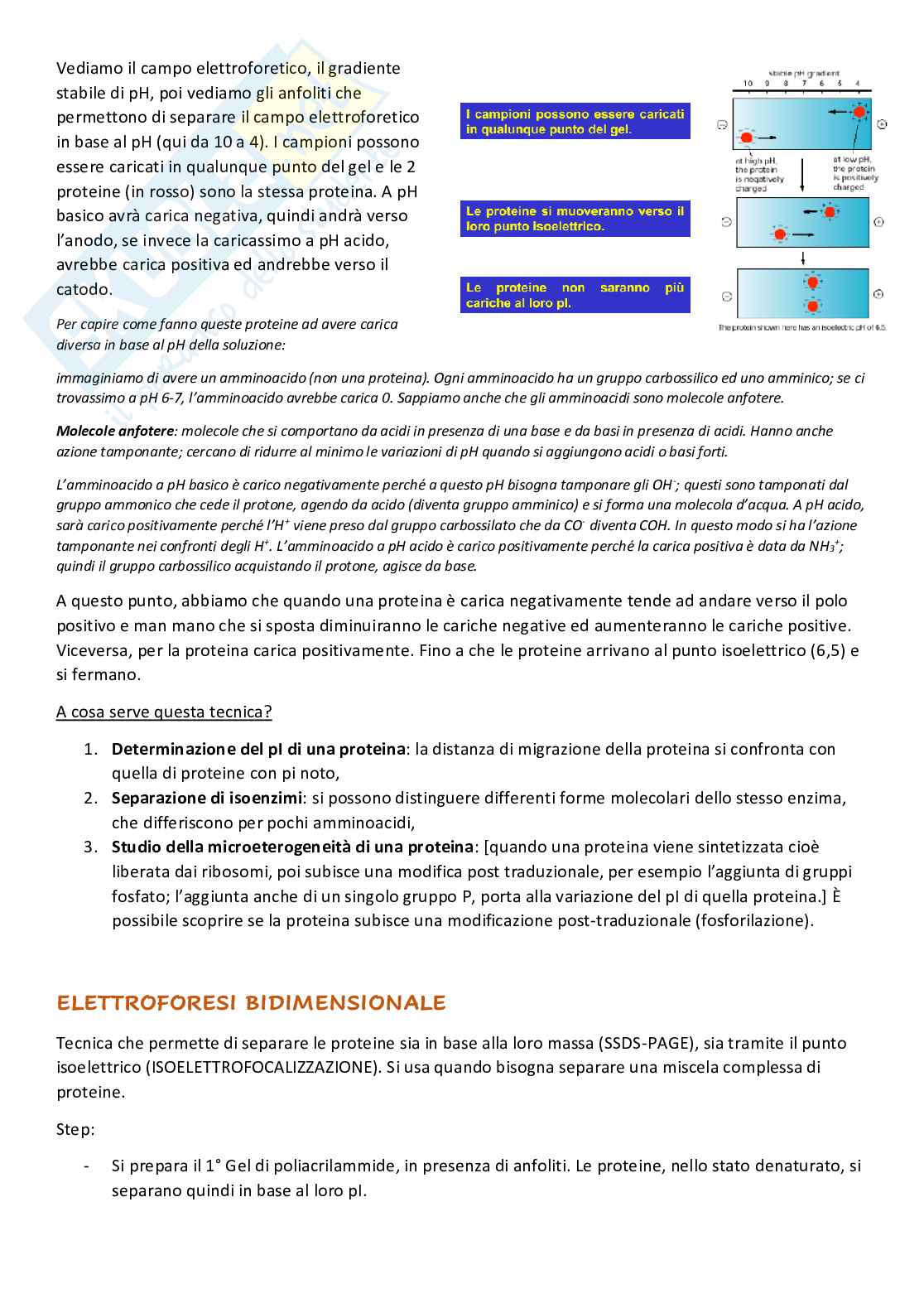 Basi di Diagnostica di Laboratorio Pag. 26