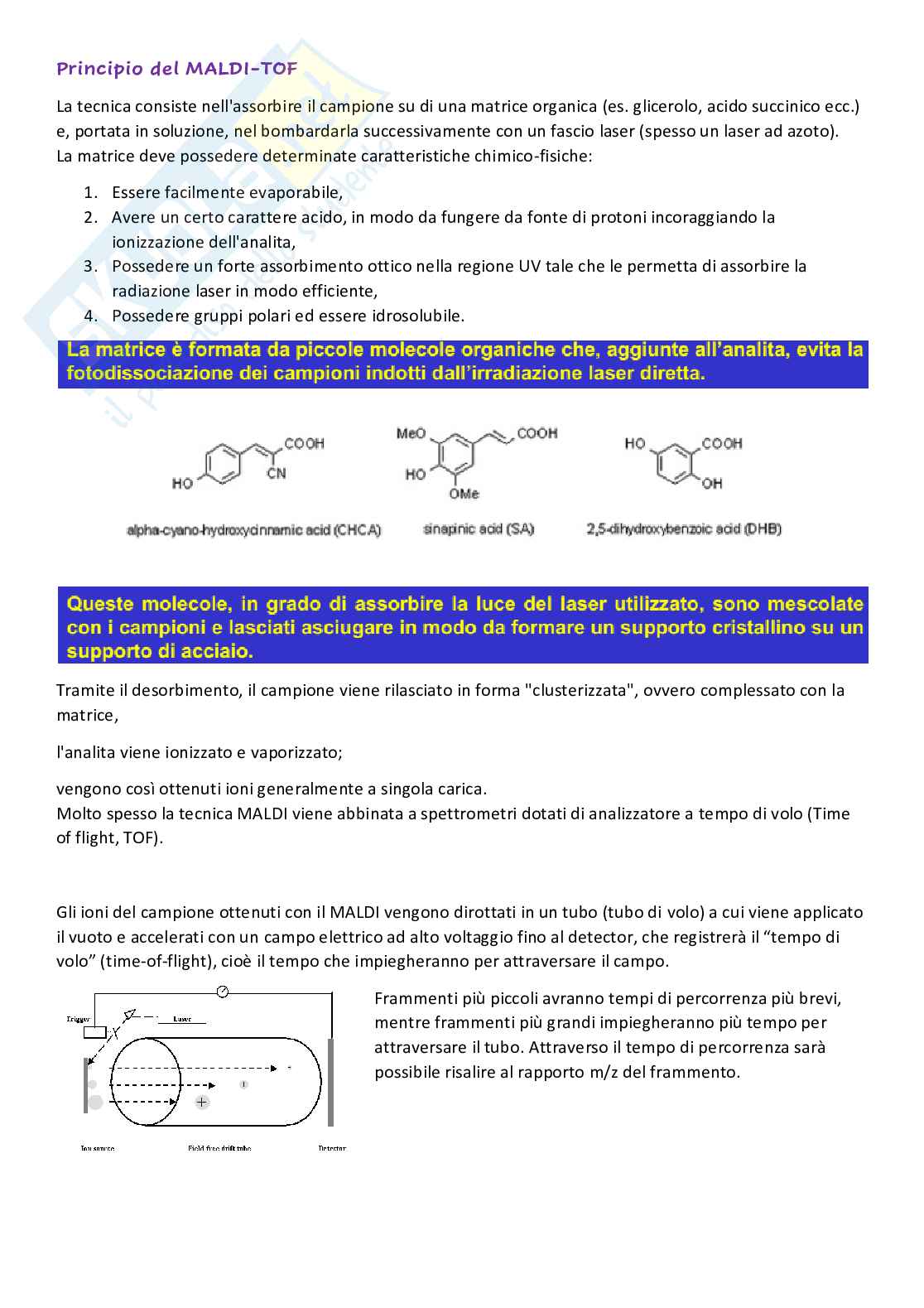 Basi di Diagnostica di Laboratorio Pag. 31
