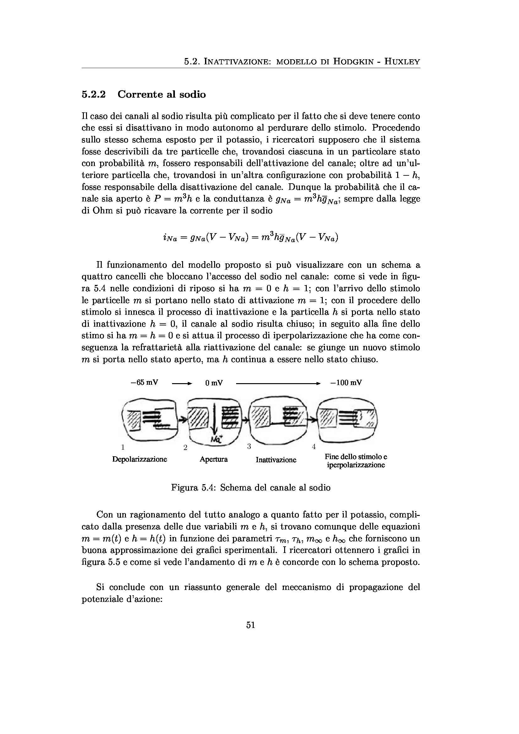 Biofisica - Appunti Pag. 51