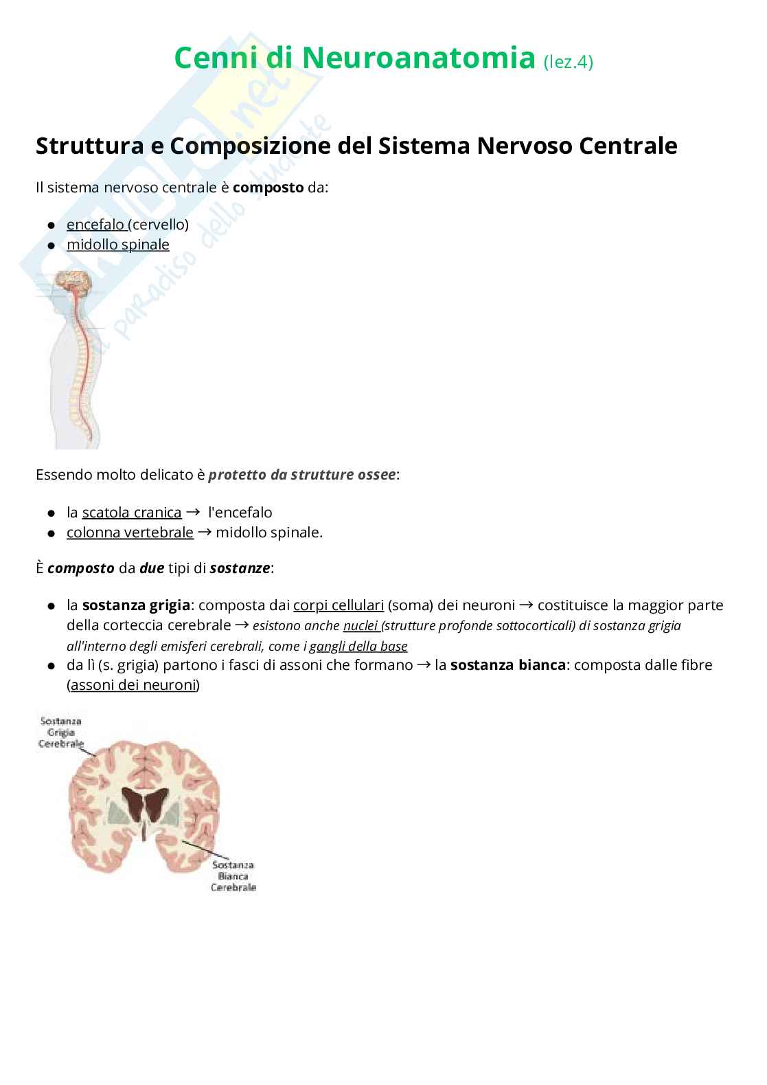 Riassunto esame Psicobiologia, Prof. Fiorio Mirta, libro consigliato Neuroscienze cognitive , Gazzaniga  Pag. 26